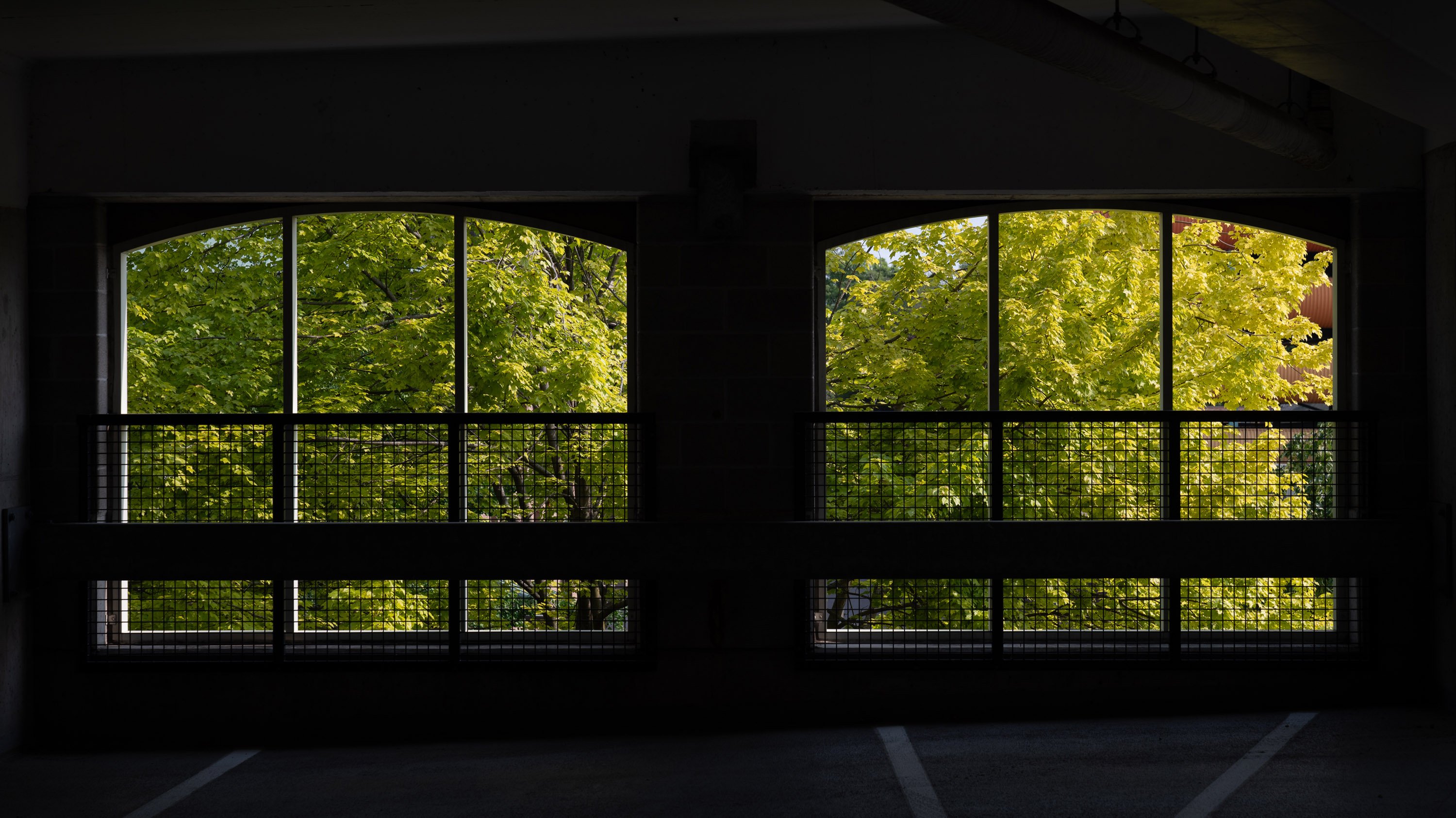 Green leaves in the windows of Grand River parking garage