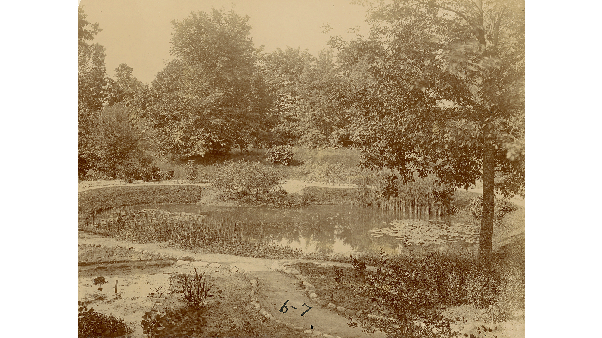 Vintage sepia photo of Beal Garden, 1897