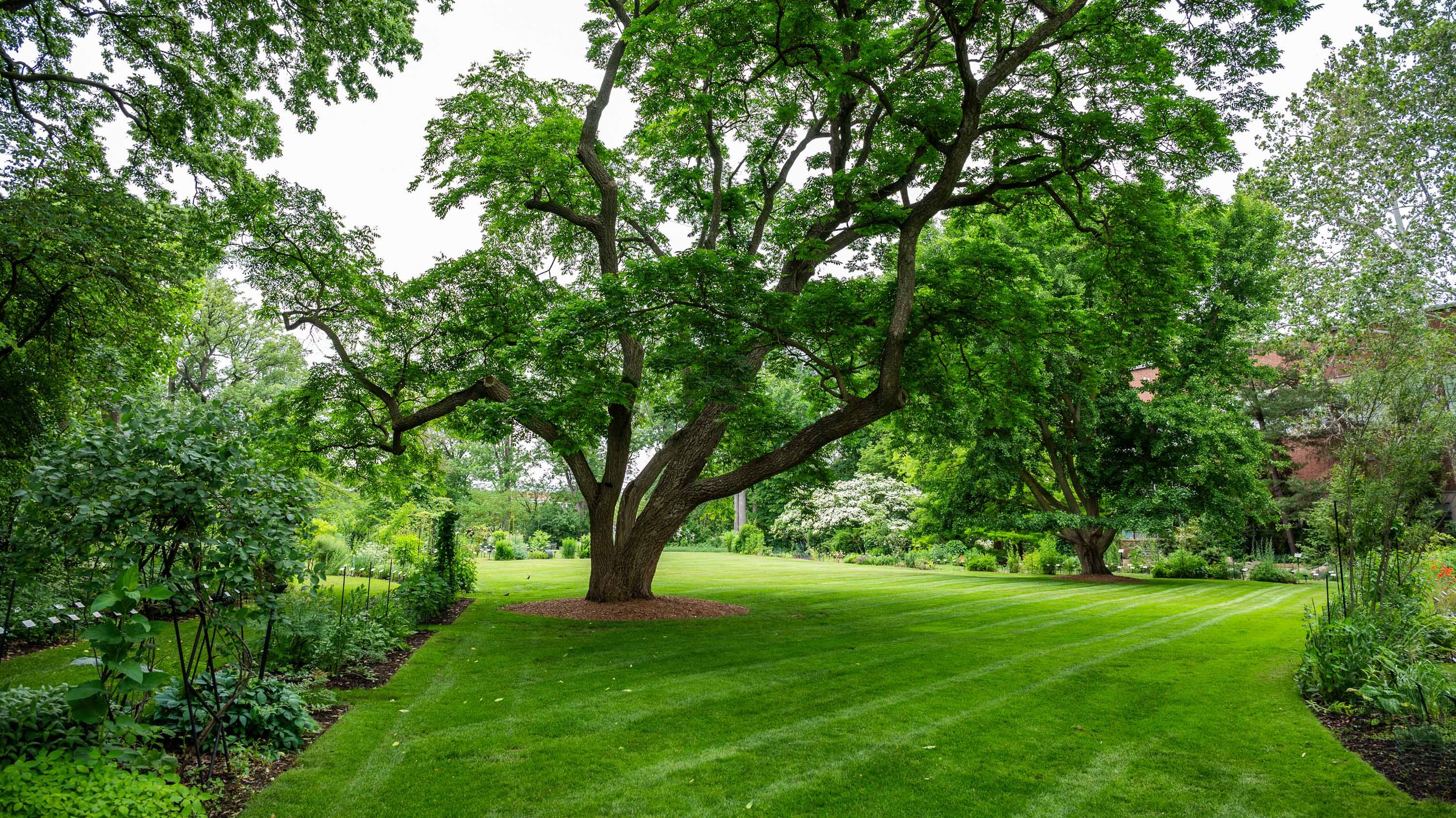 Beal Botanical Garden
