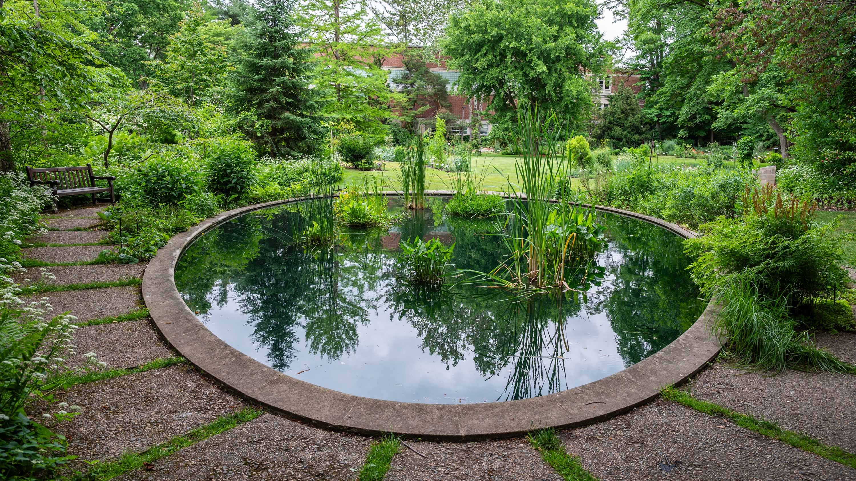 Beal Botanical Garden pond