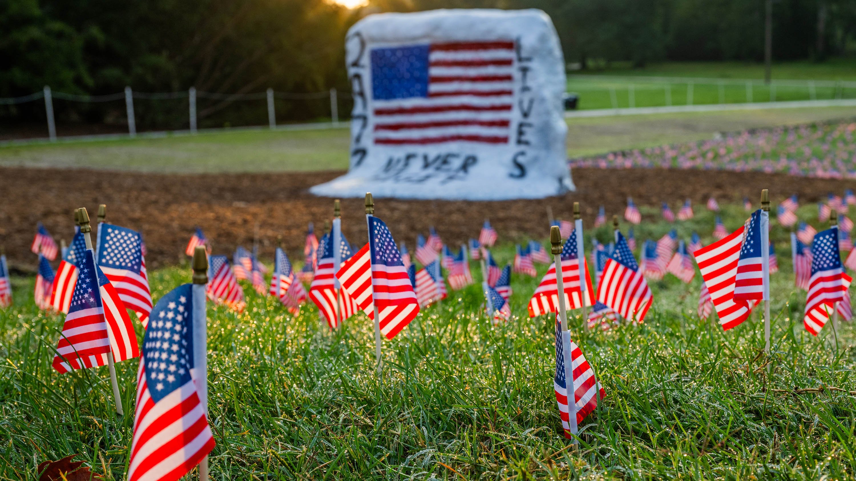 American flags in front of MSU Rock