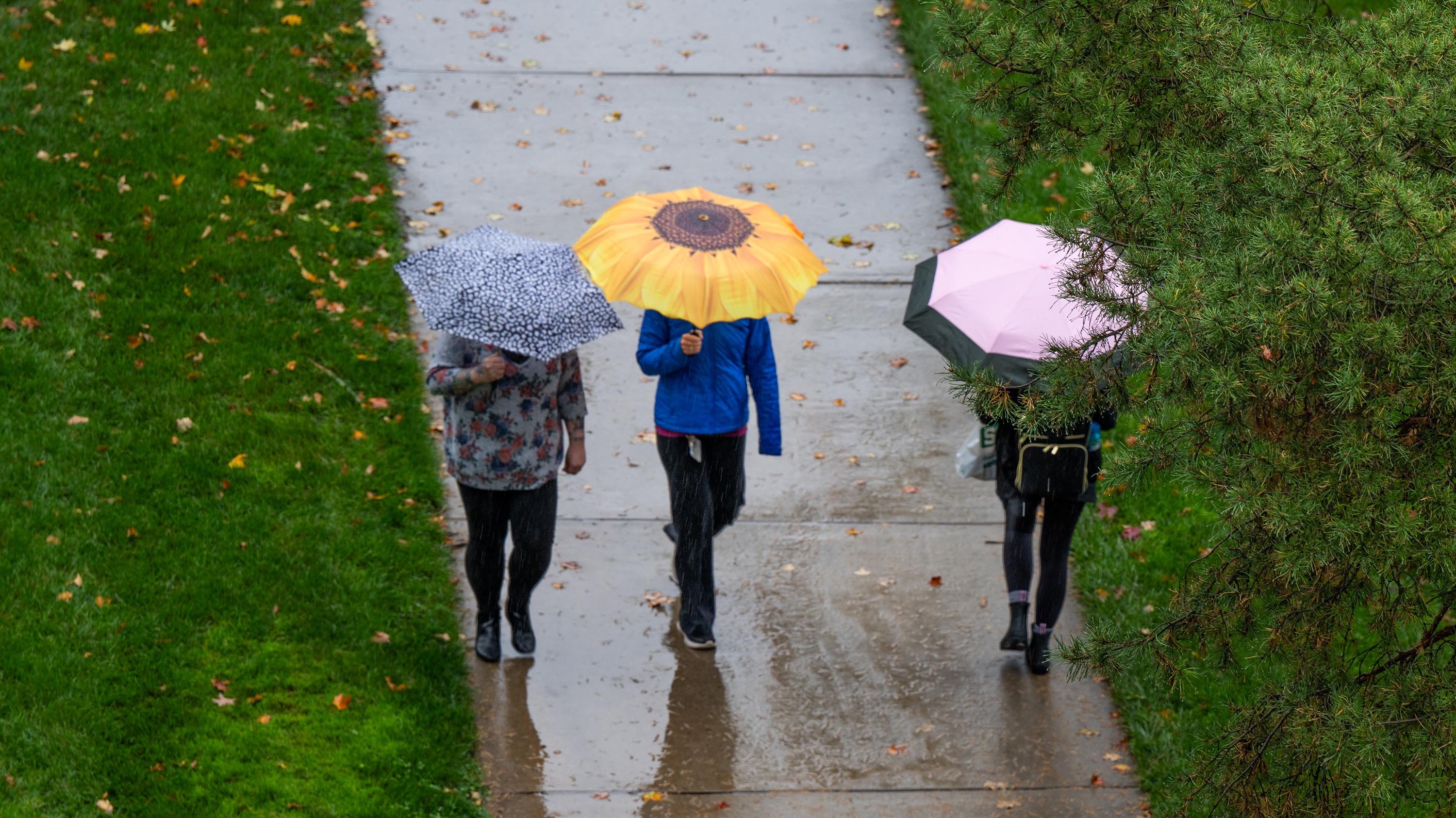 Three people walking with umbrellas