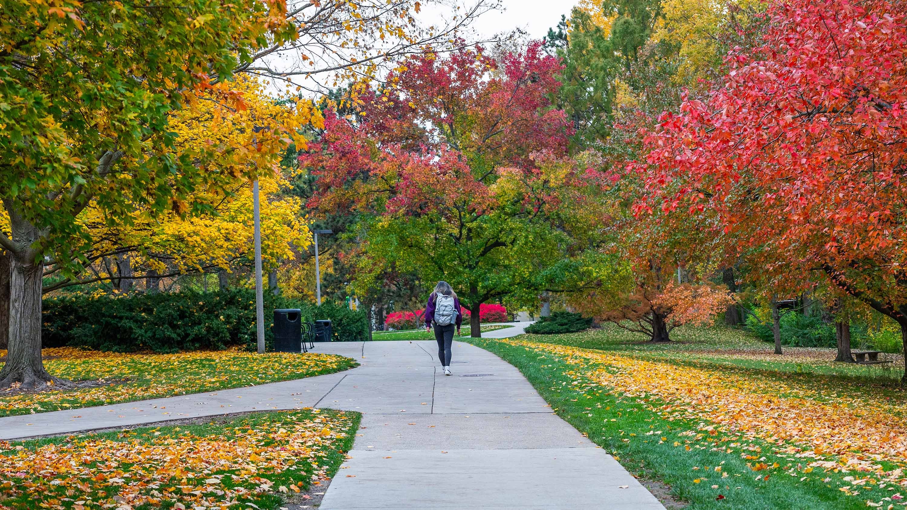 Student walking on campus sidewalk amidst autumnal trees