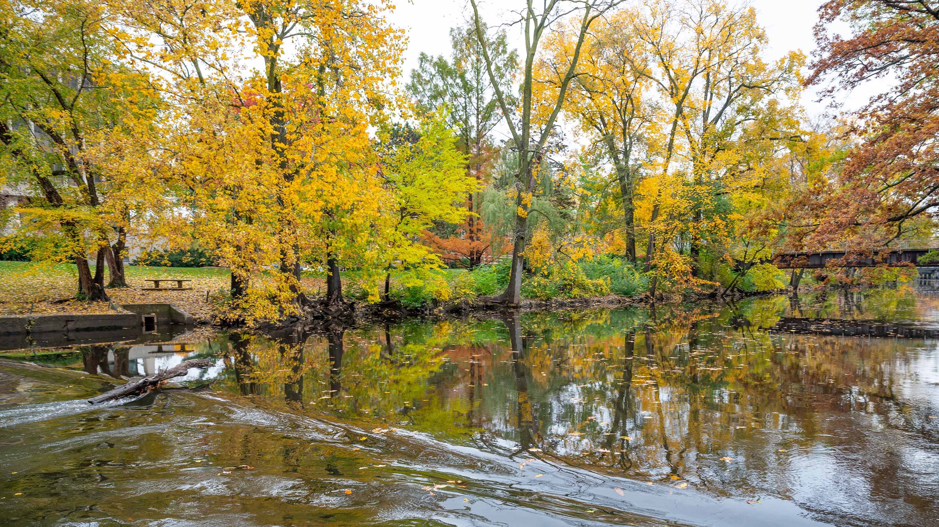 Red Cedar River in fall