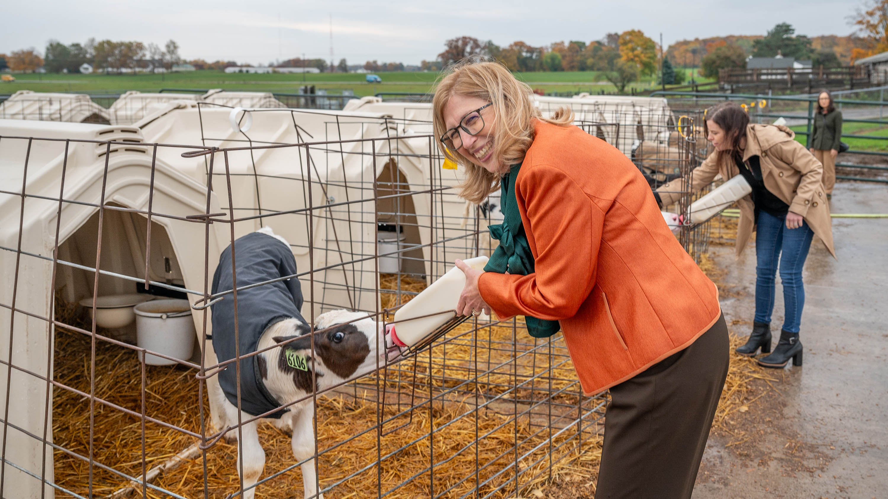 Theresa K. Woodruff bottle-feeding a calf at MSU Dairy farm