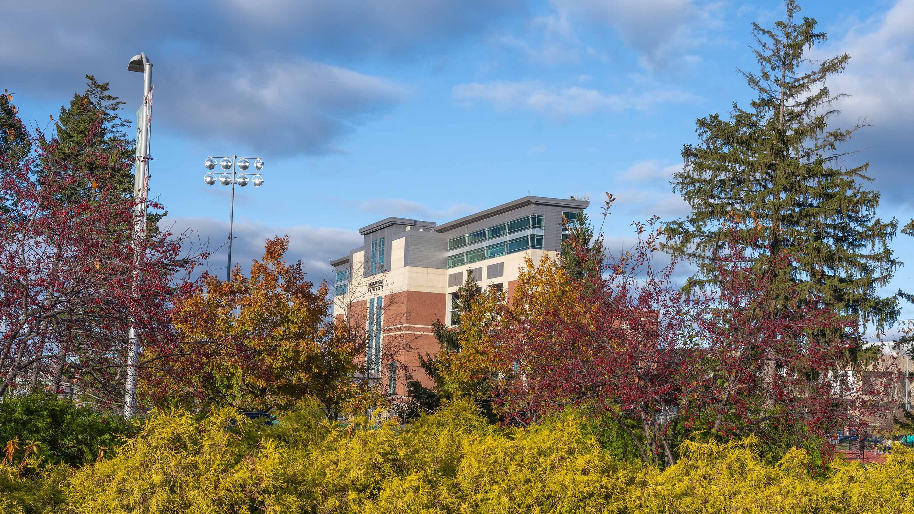 Spartan Stadium behind autumn trees