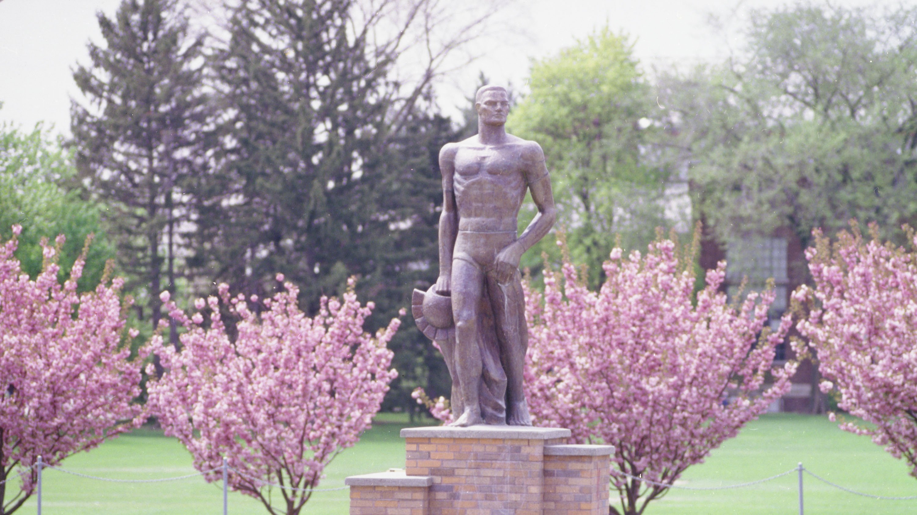 The Spartan Statue in 1993, with pink flower bushes blooming in the background.