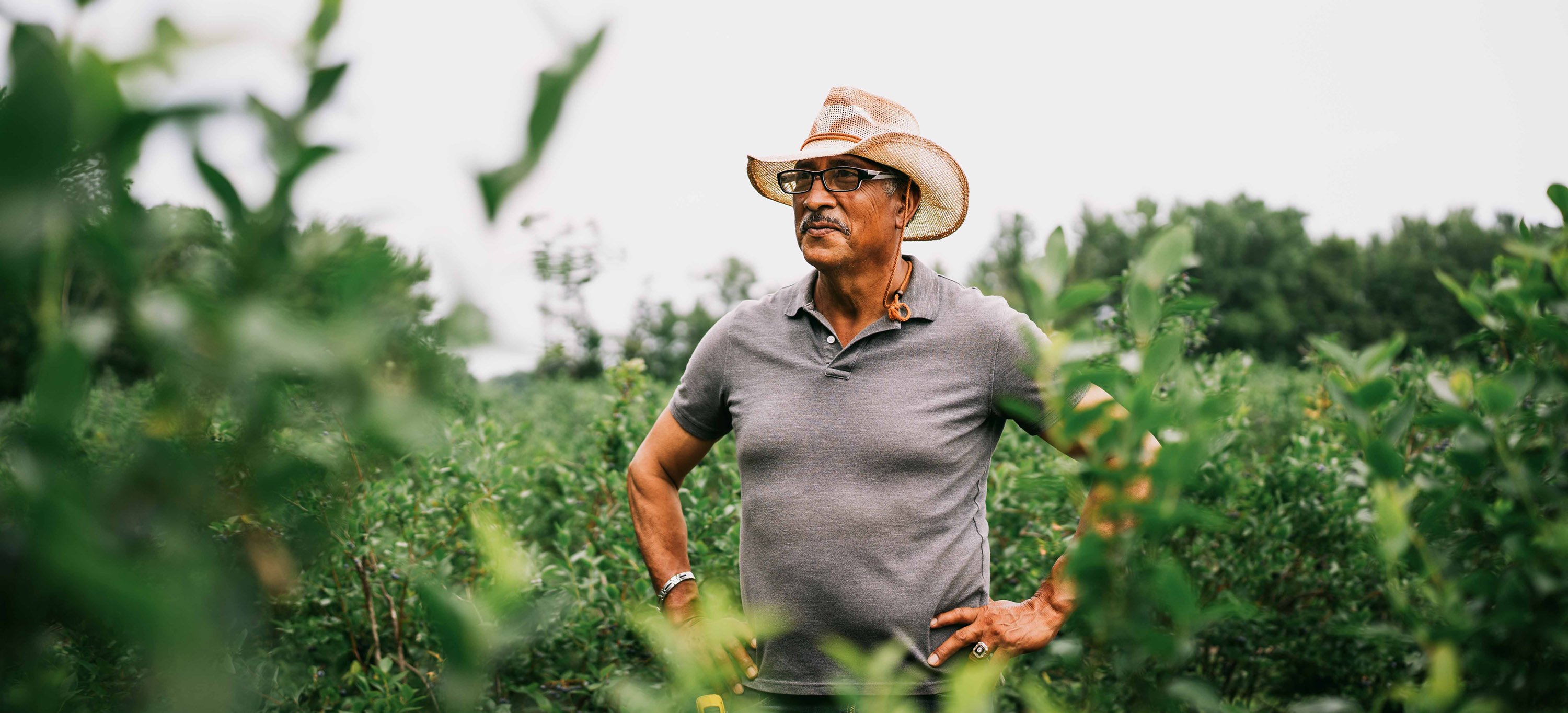 Pedro Bautista stands with hands on hips looking onward while framed by out of focus blueberry plants in the foreground.