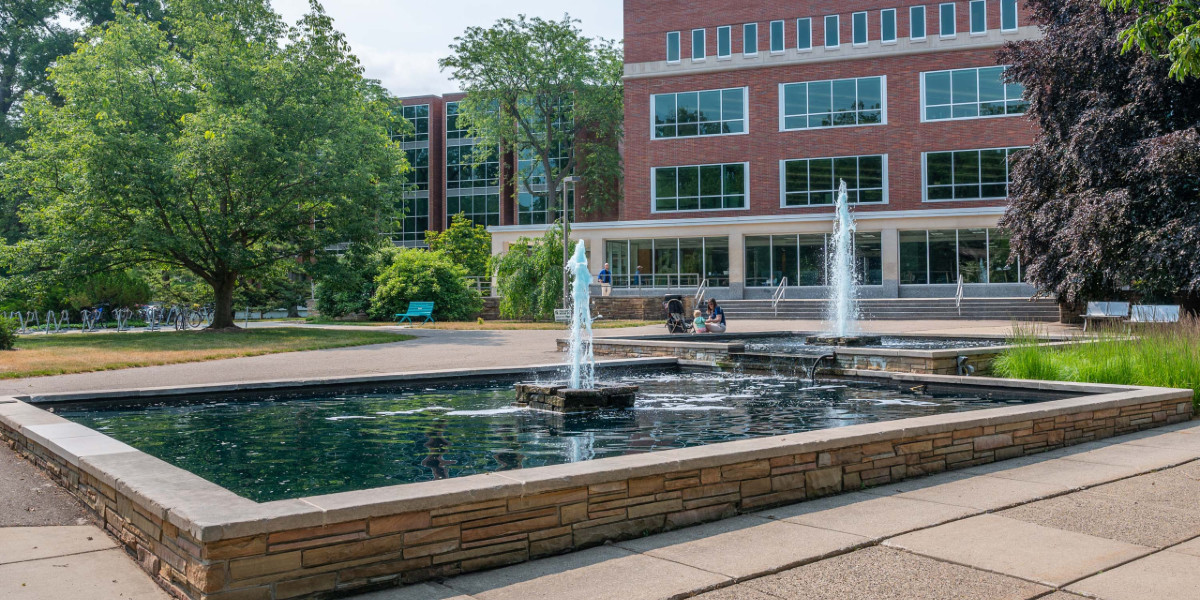MSU ranked in top 50 of US patent-granting universities | MSUToday ...