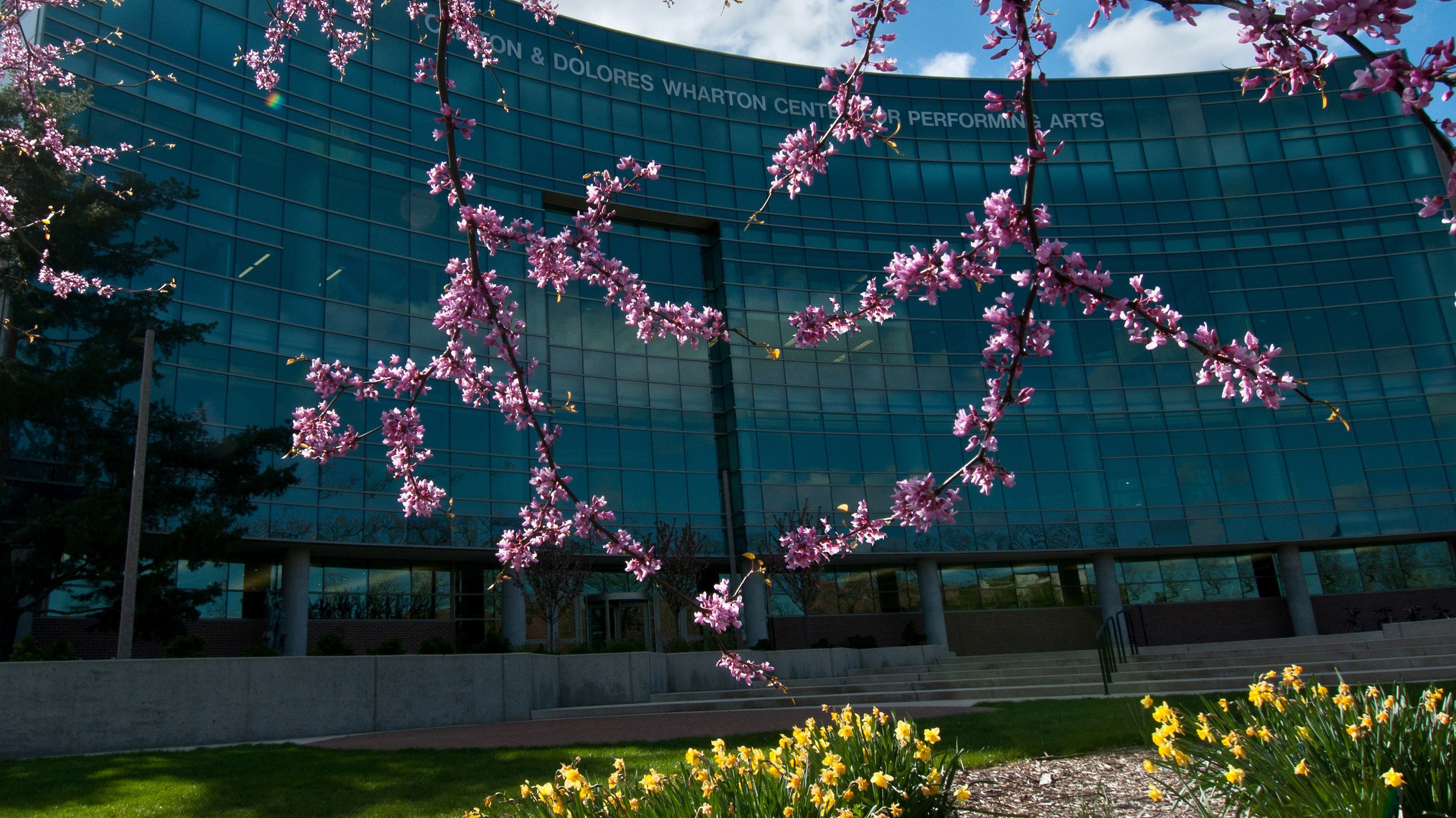 Pink blooms create a heart shape in front of the Wharton Center for Performing Arts