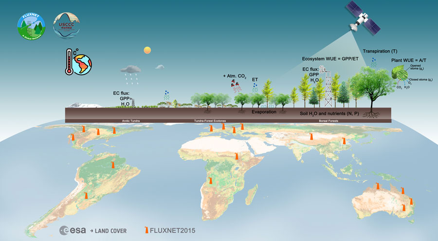 A graphic of a world map that illustrates CO2 and other gasses that affect climate change