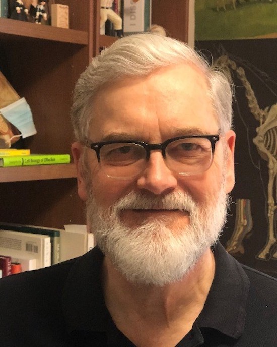 Jack Harkema, University Distinguished Professor in the MSU Department of Pathobiology and Diagnostic Investigation