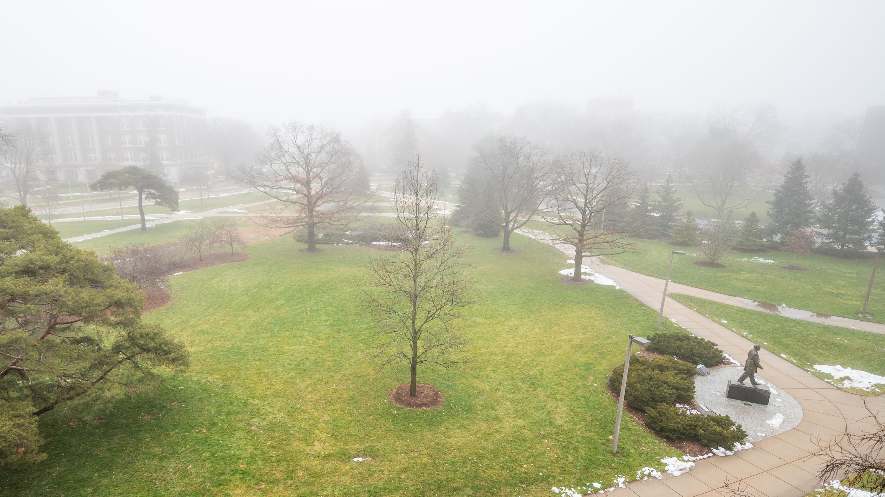 Foggy campus