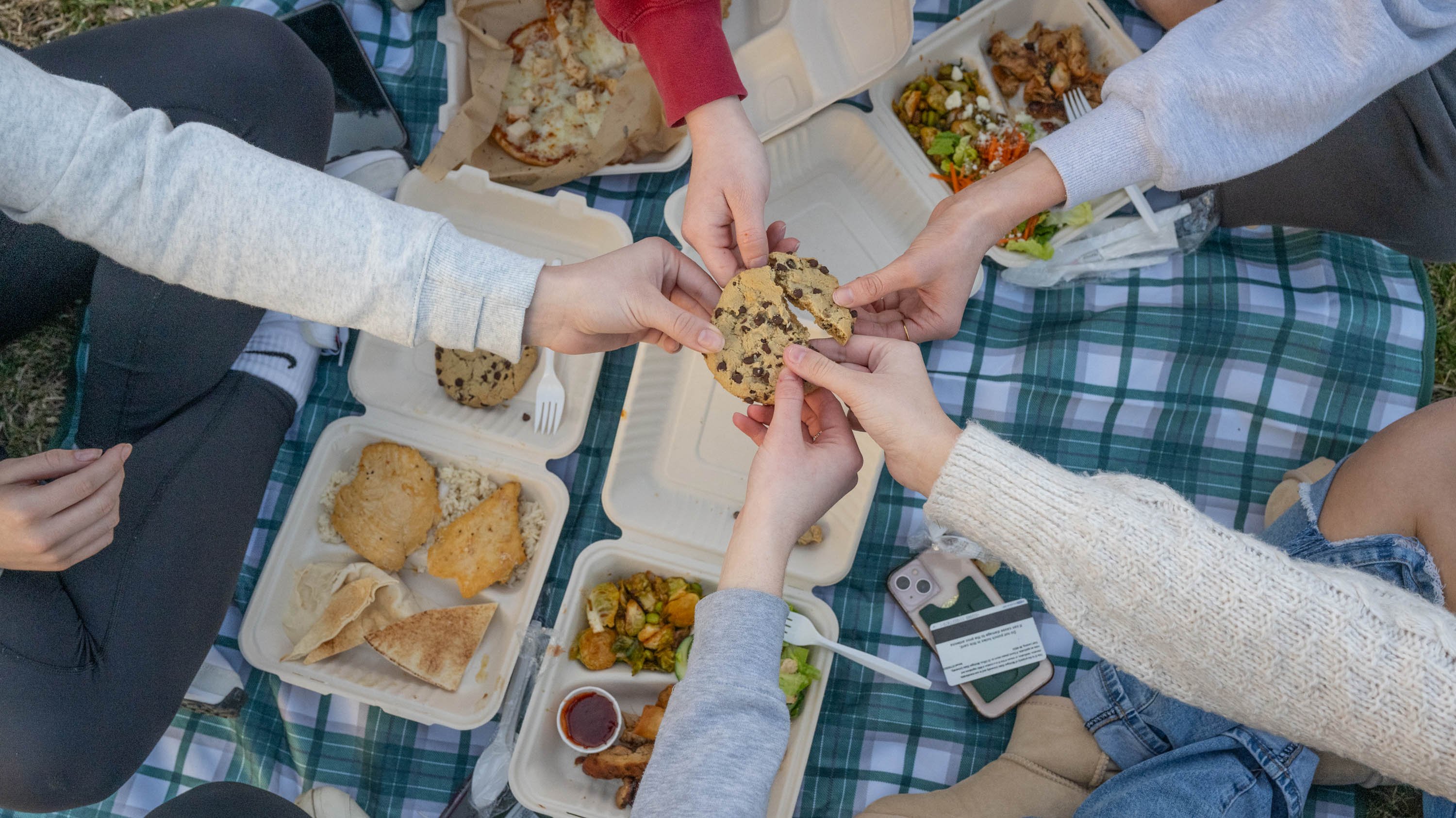 Hands holding cookie above picnic