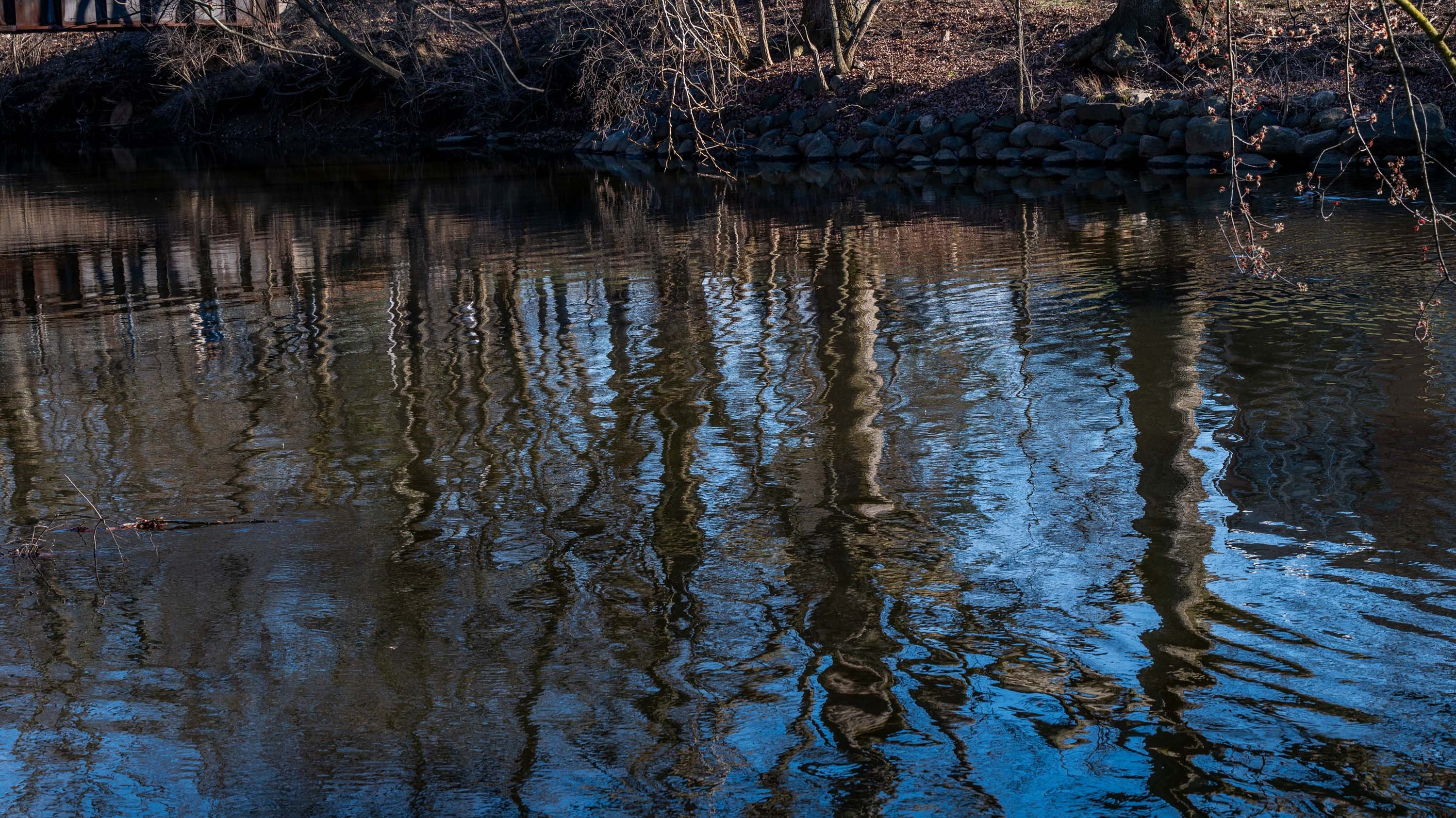 Ripples on water on Red Cedar River