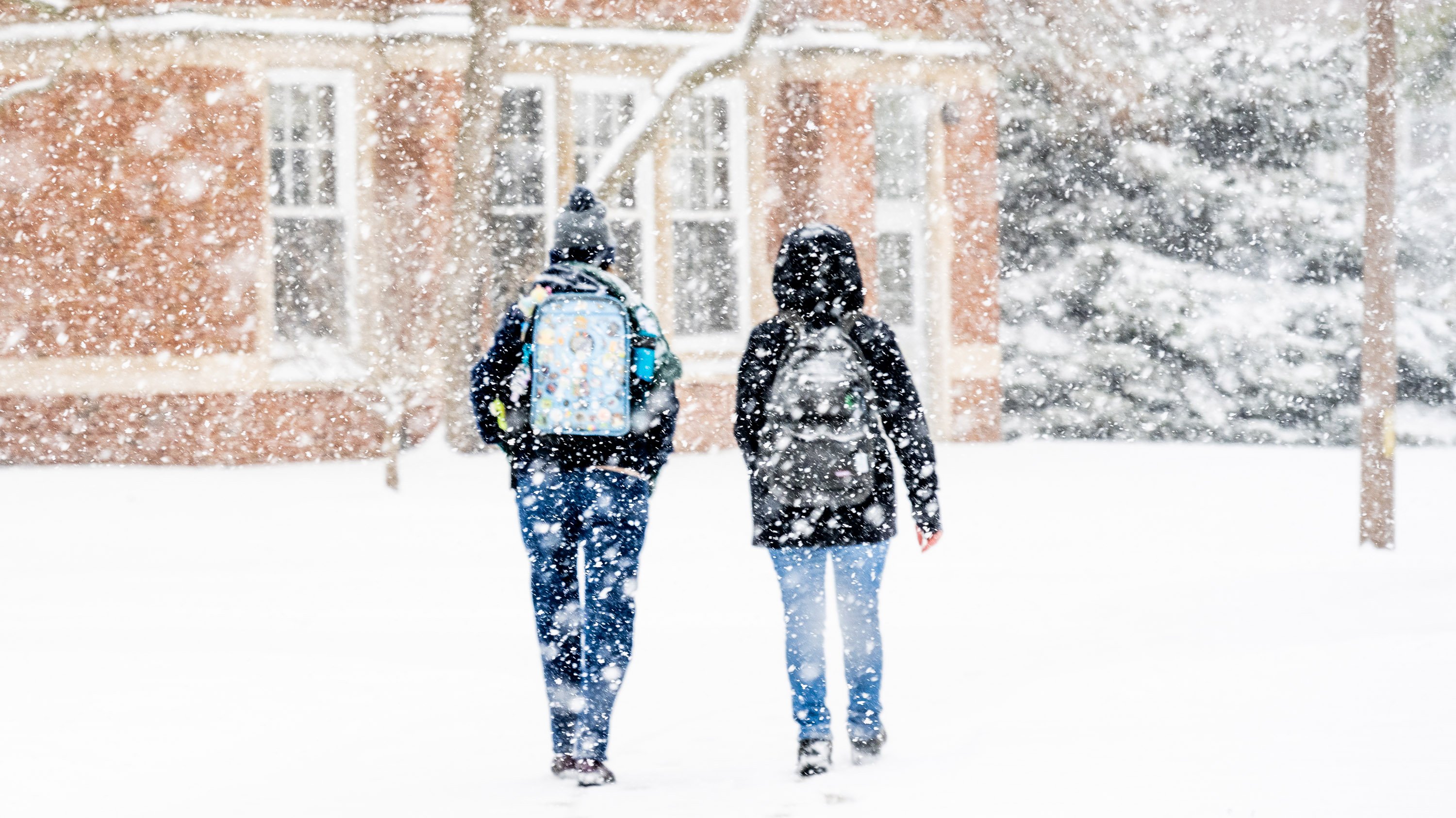 Two people walking in the snow