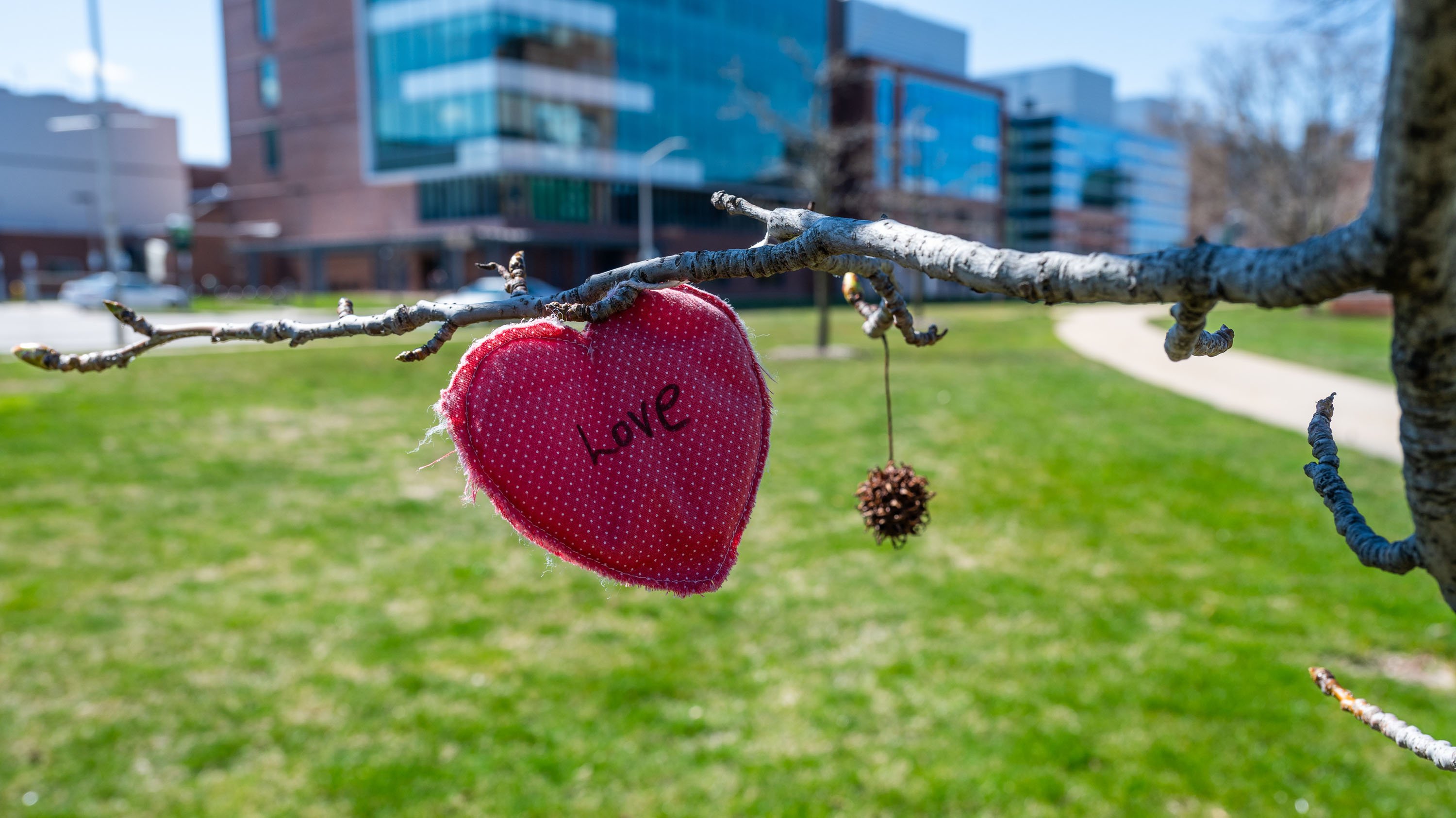 Red heart shaped pillow with 'love' on it hanging from a tree