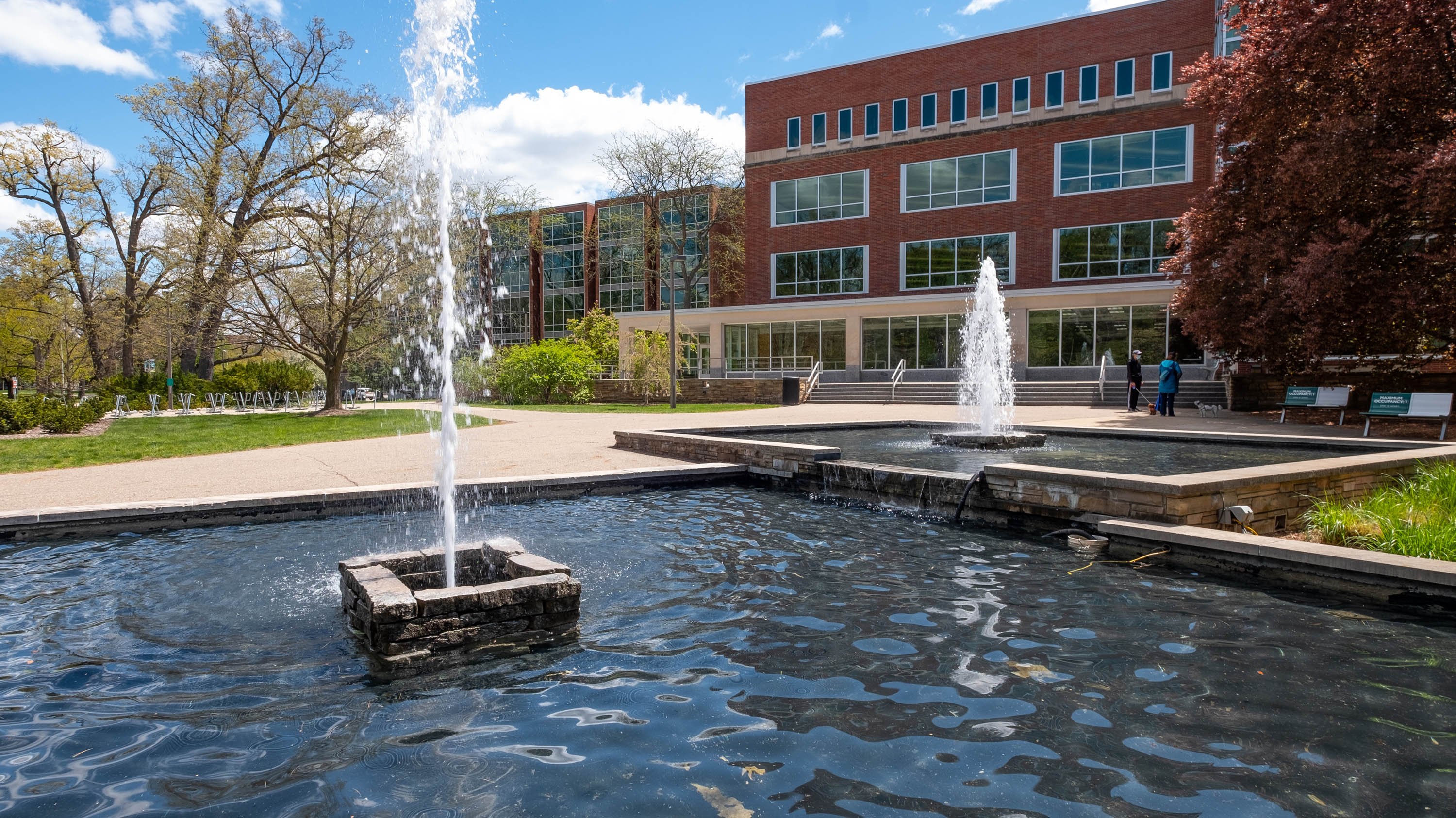 MSU main library fountain