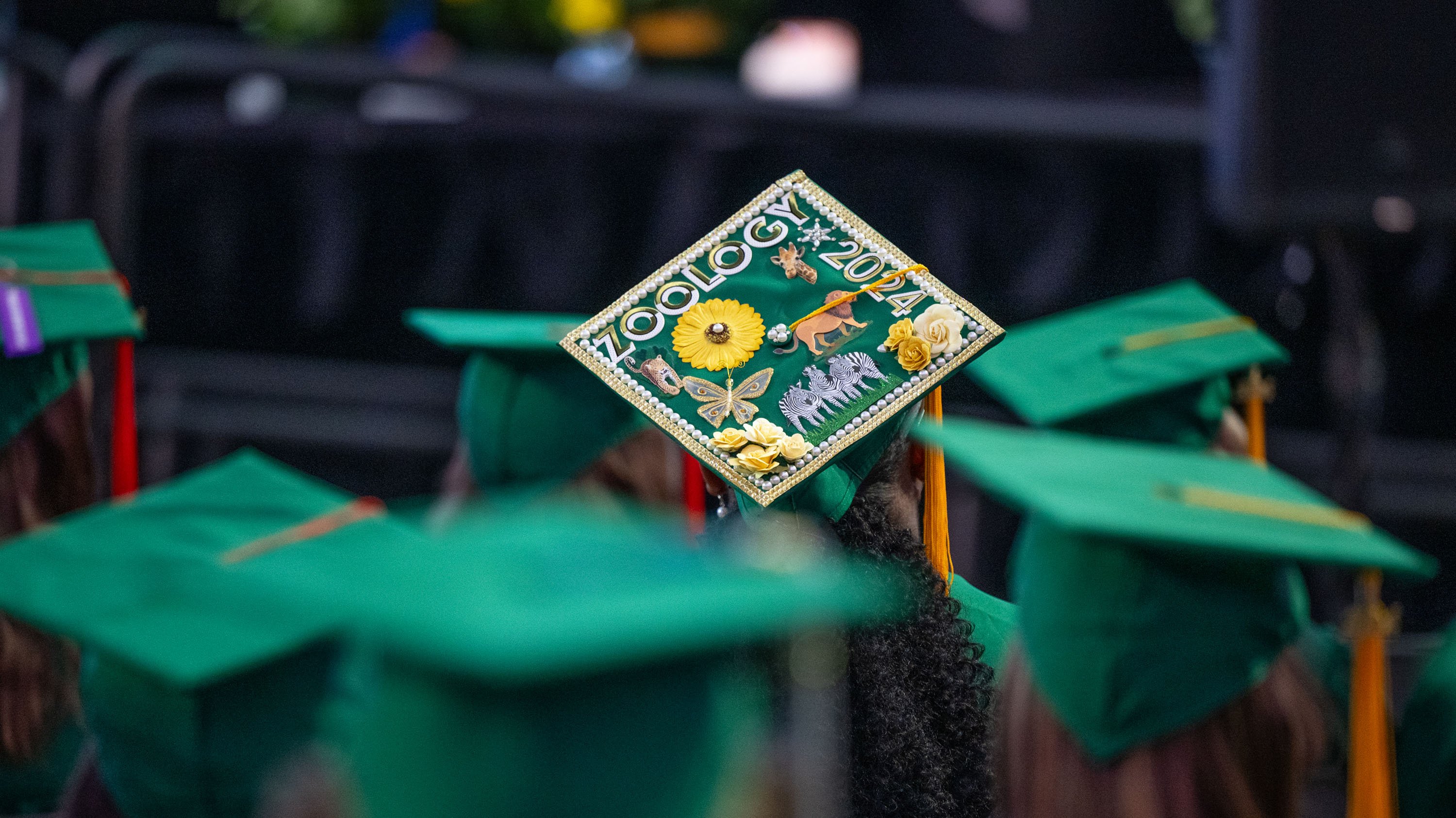 Graduation cap decorated with zoology theme