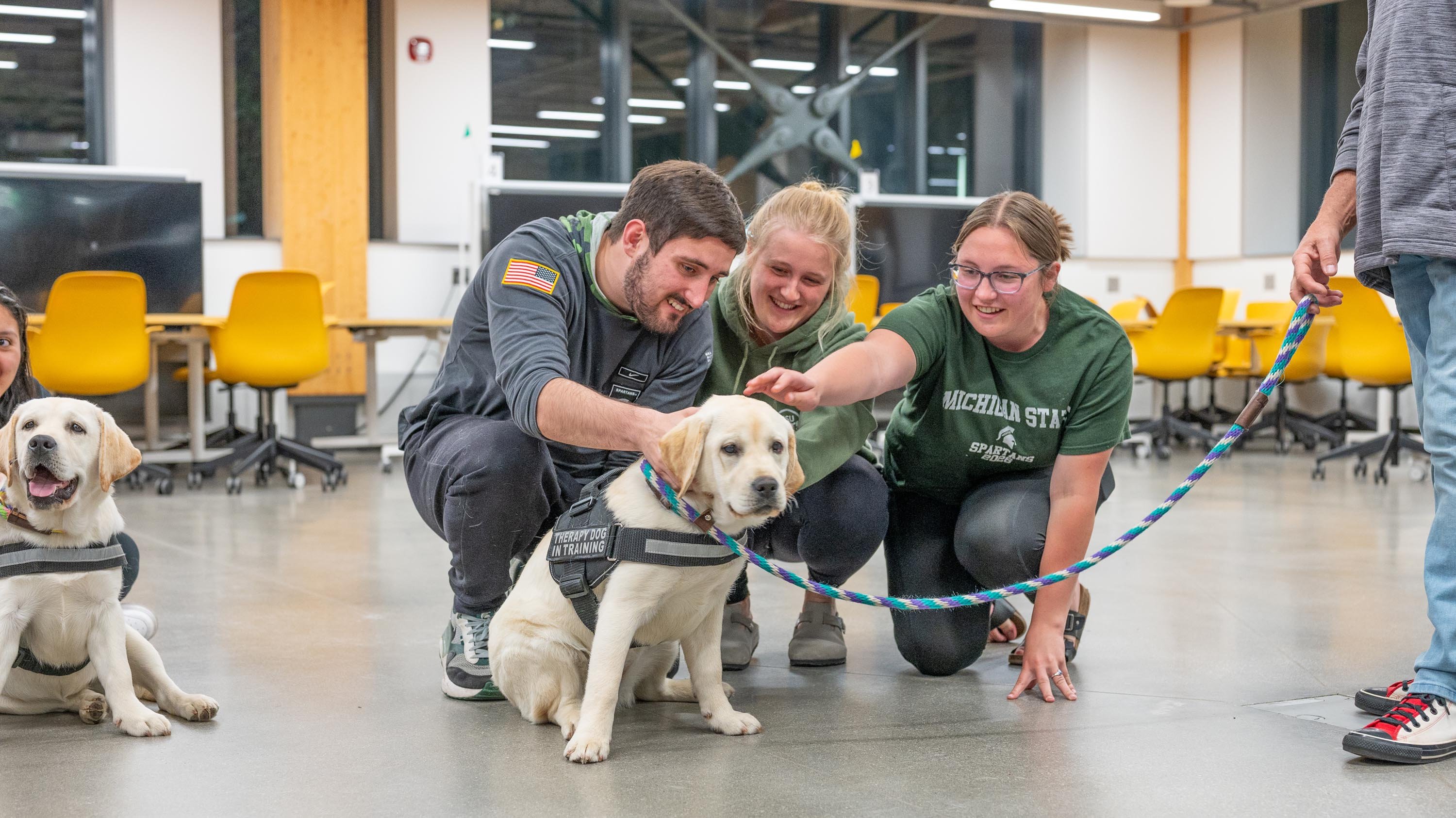 Students petting dog