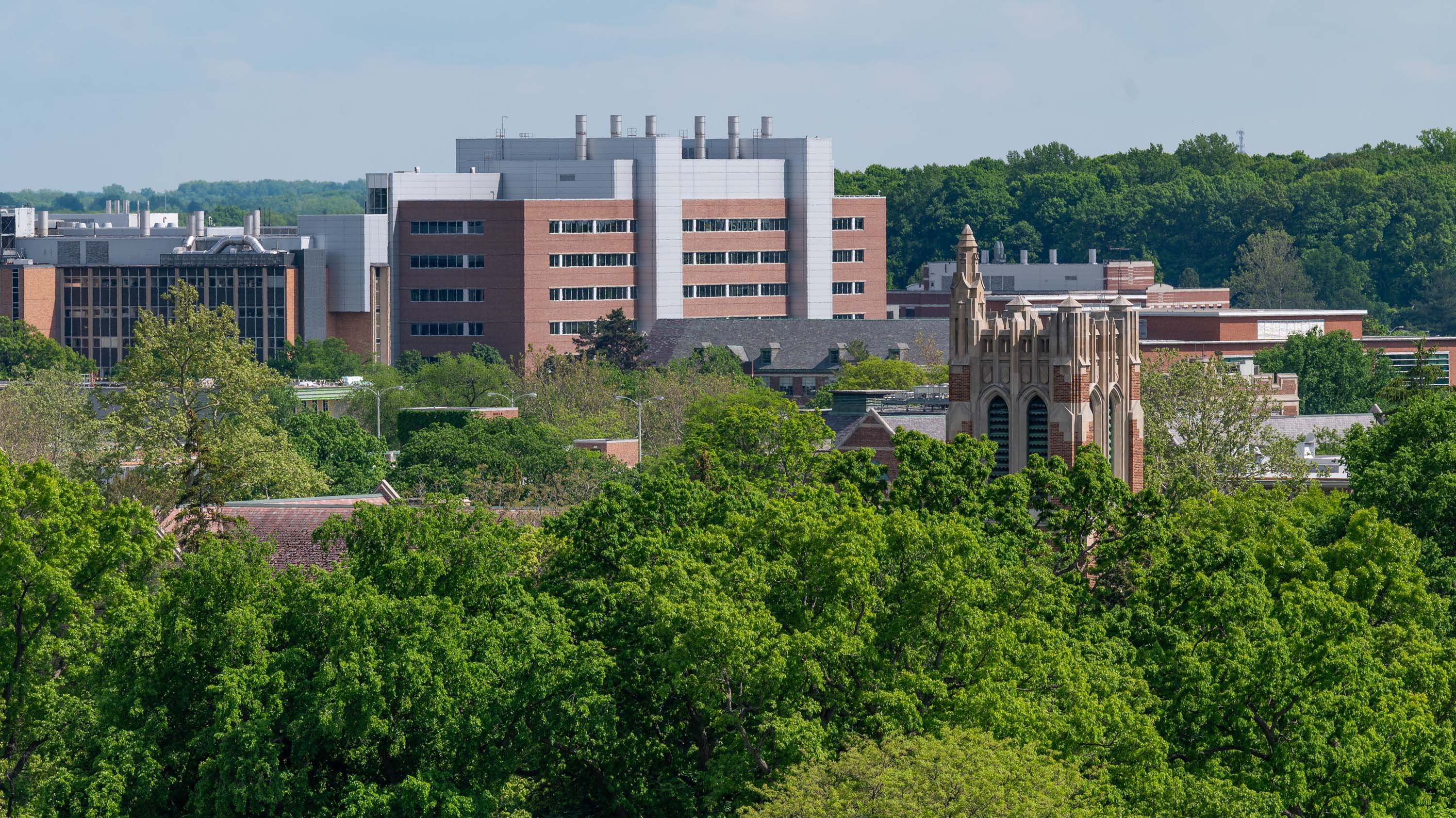 Beaumont Tower and campus buildings above treeline
