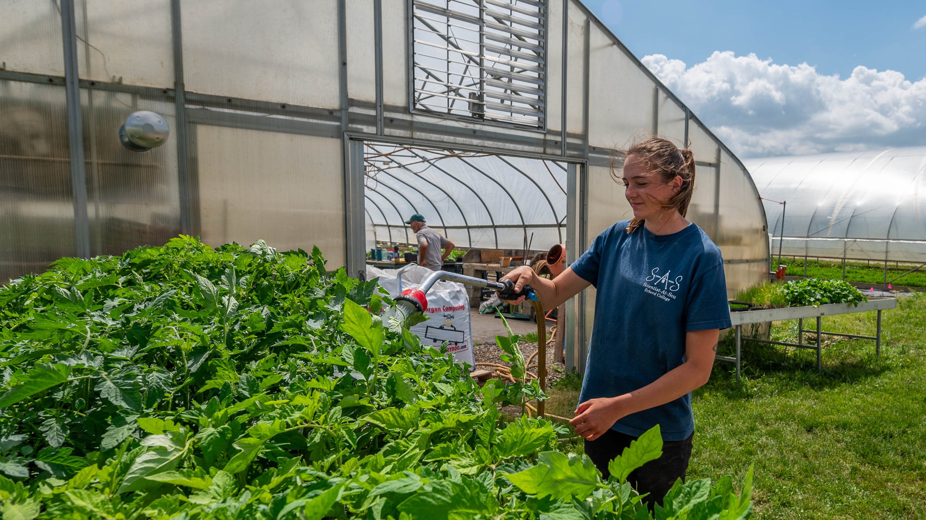 Person watering plants at Student Organic Farm