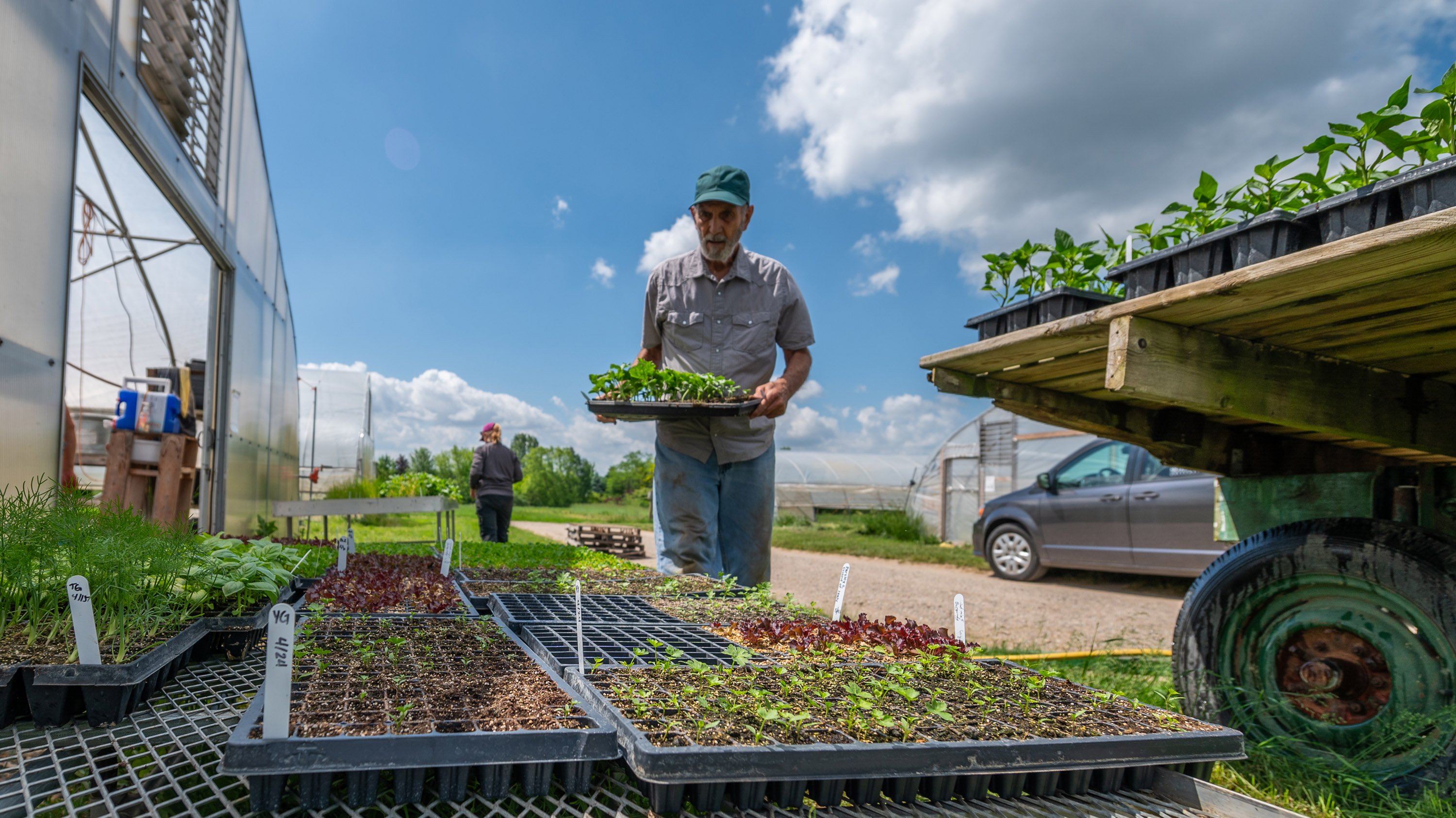 Person with seedlings at Student Organic Farms