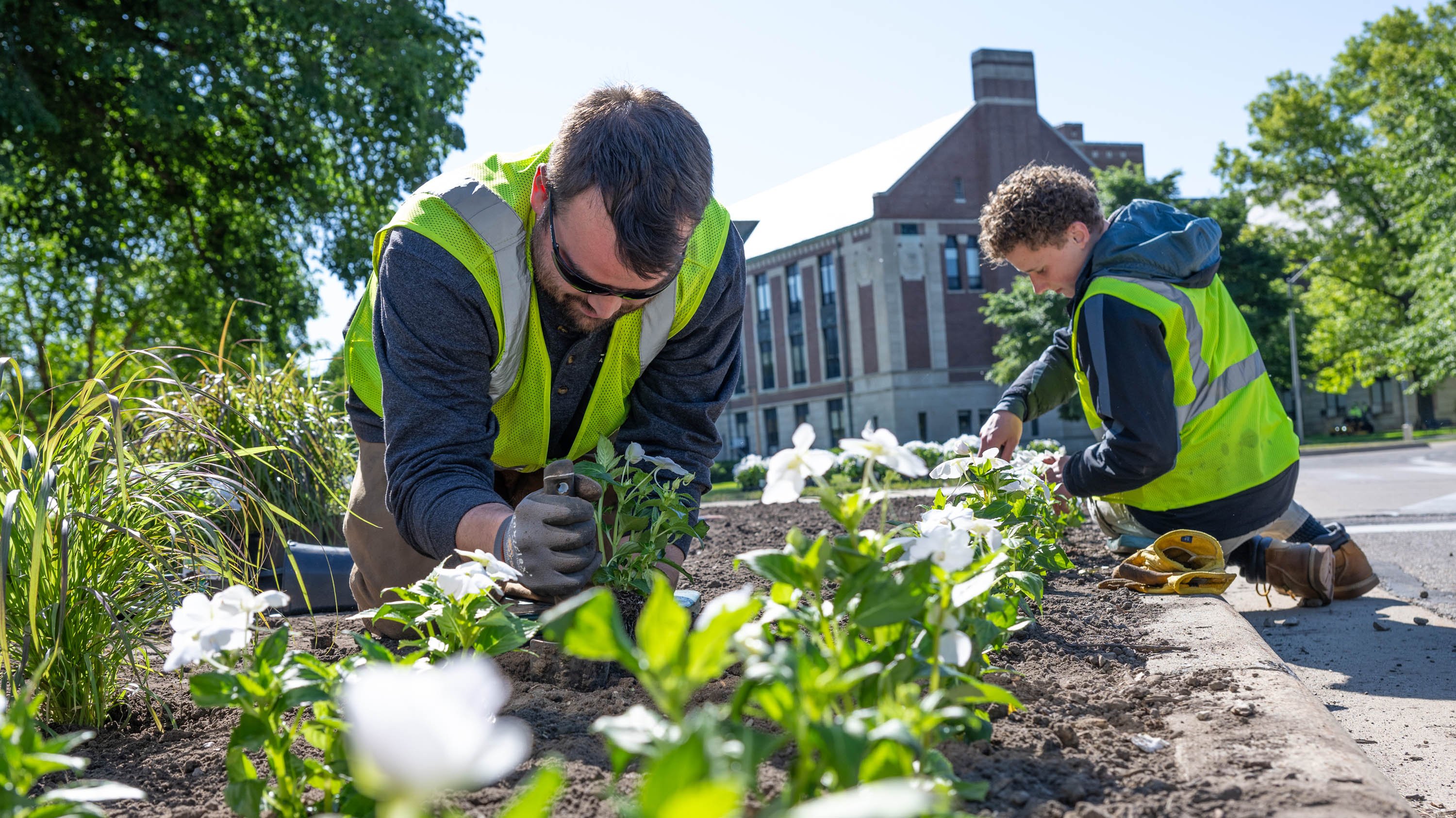 IPF crewmembers planting begonias
