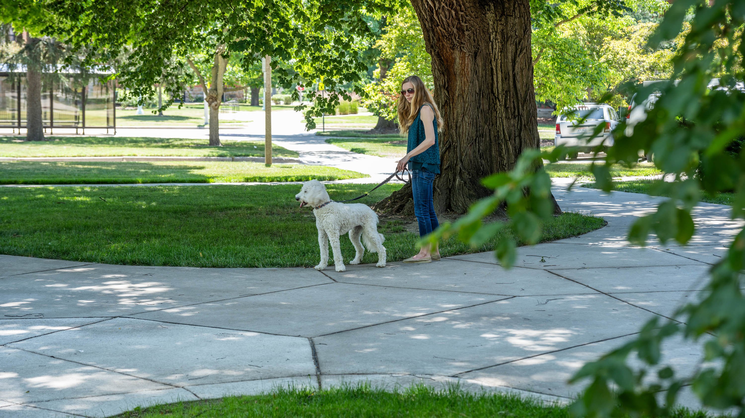 Person with dog on campus