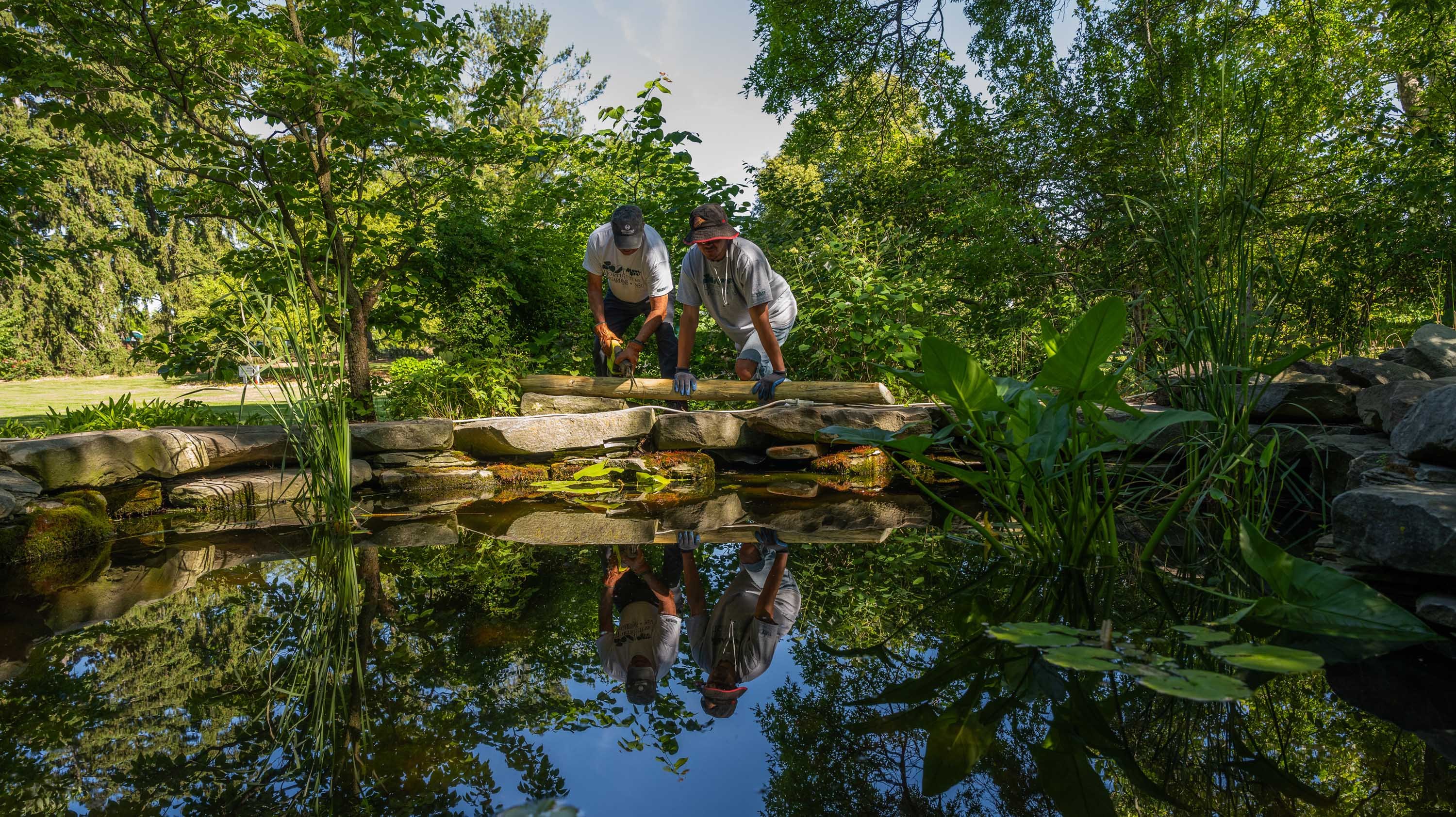 Two people working on construction project in native plants garden