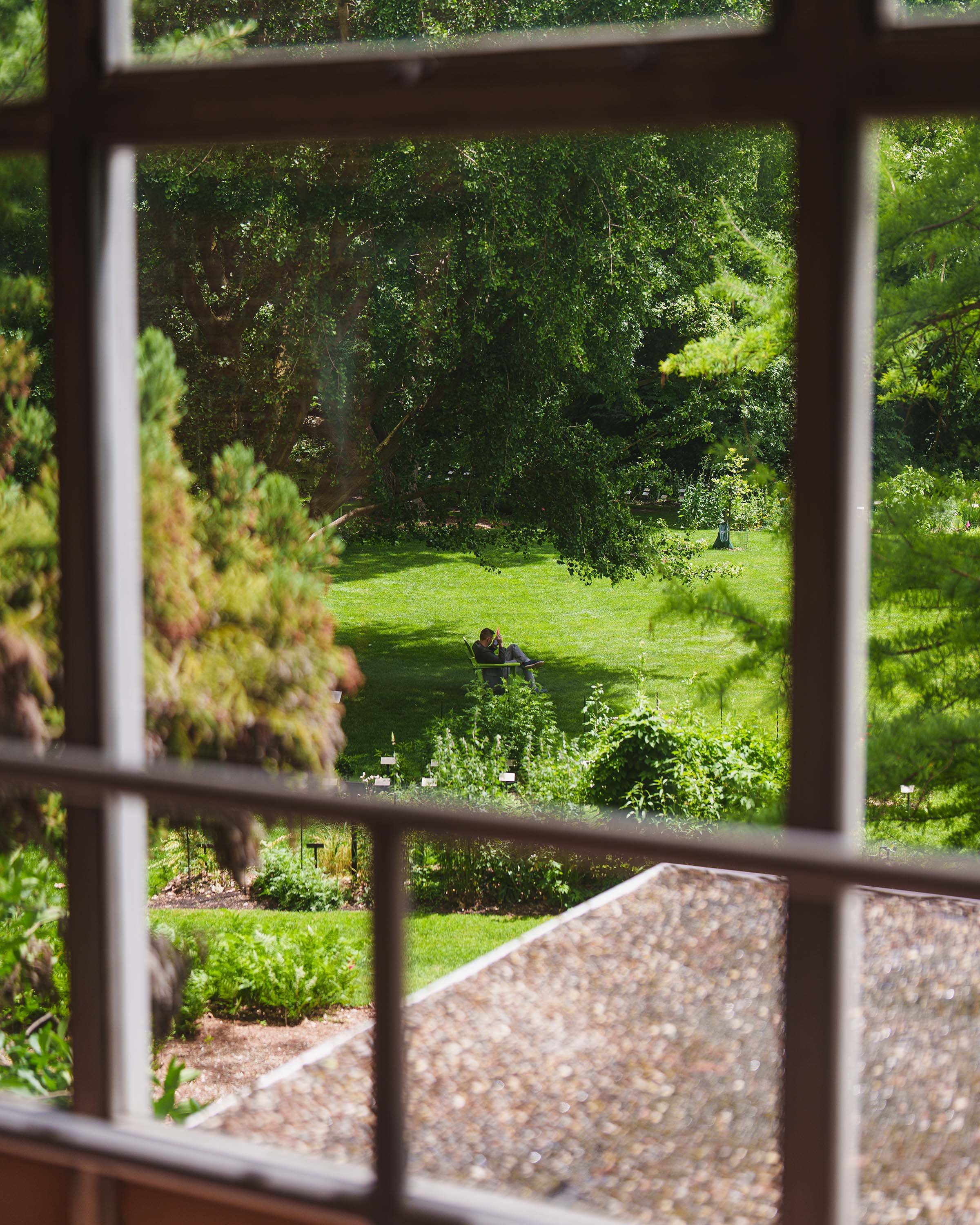 Beal Botanical Garden viewed through a window