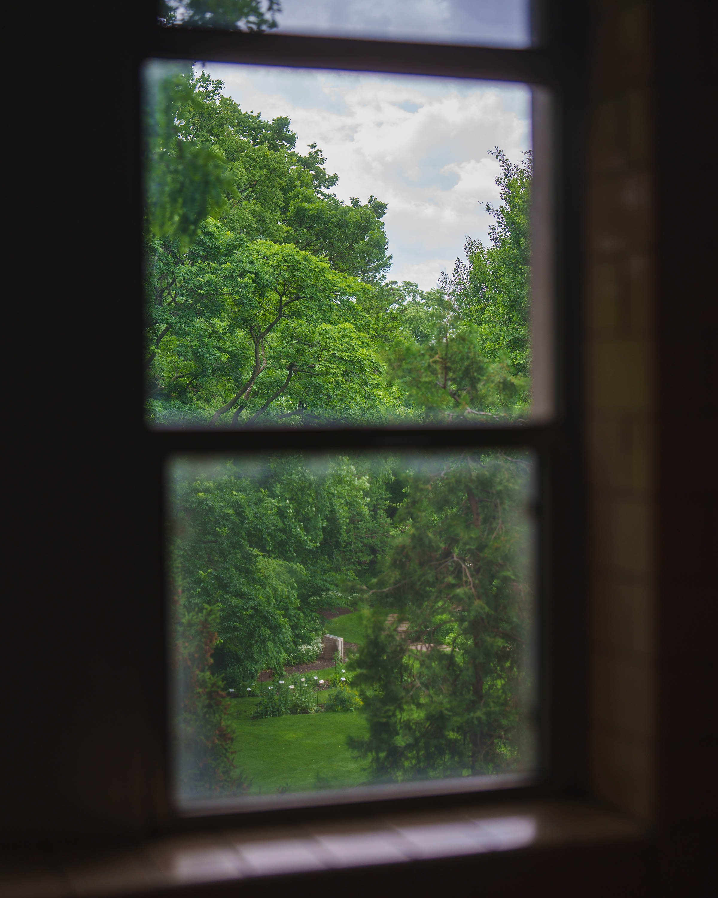 Beal Botanical Garden viewed through a window