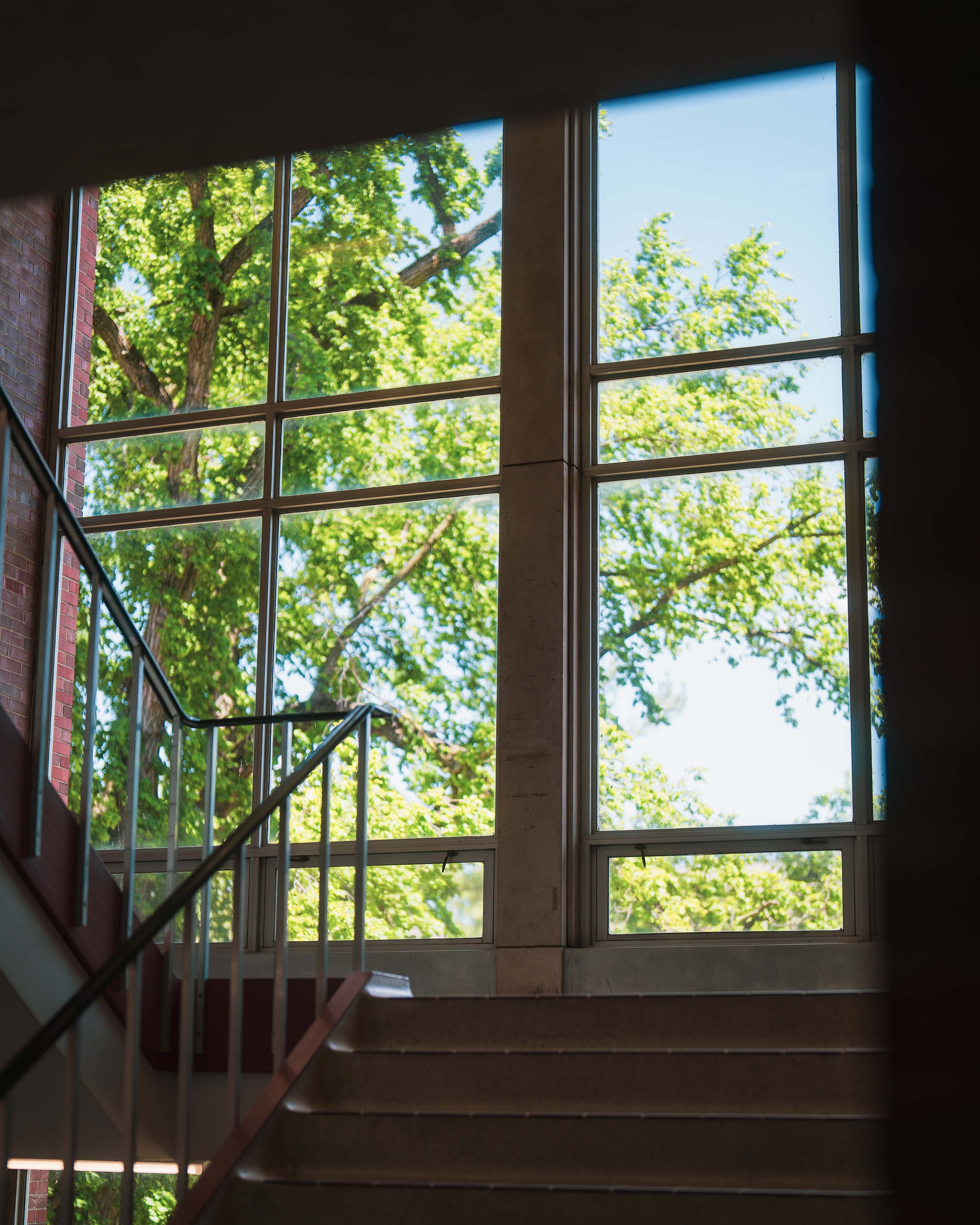 Trees viewed from window in Wells Hall staircase