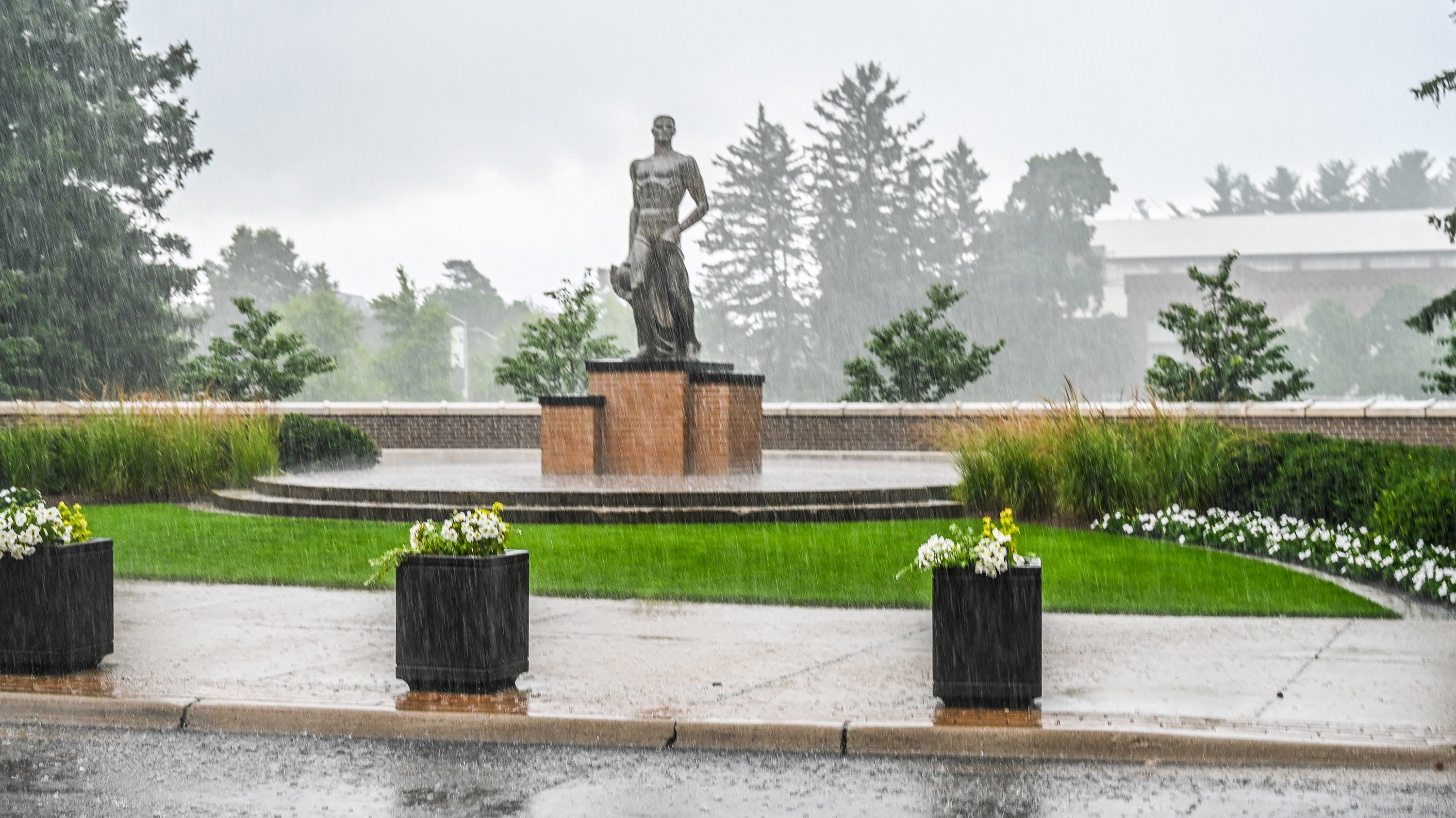 Spartan statue in rain