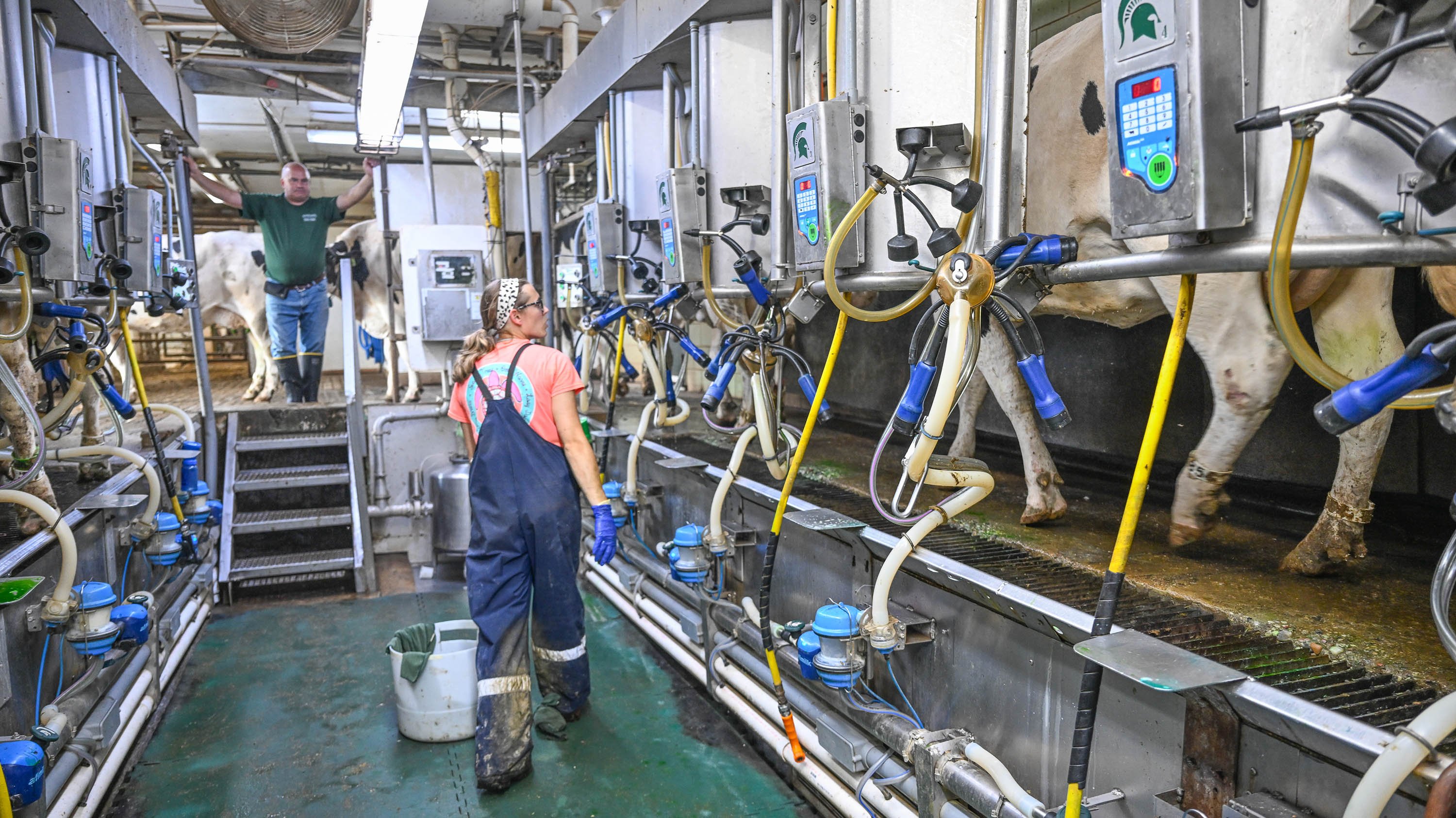 Dairy milking parlor