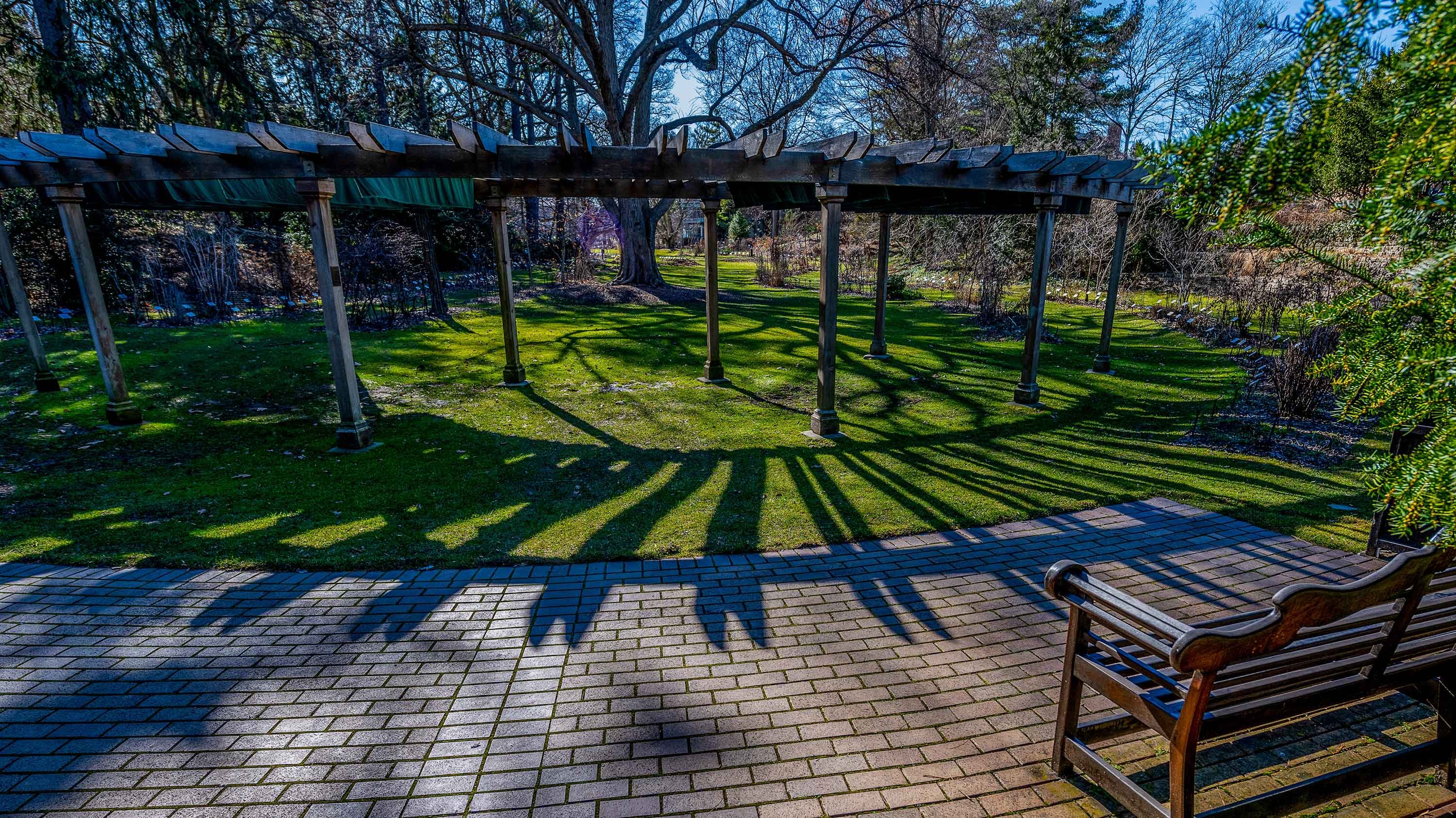 Shadow of pergola in Beal Garden