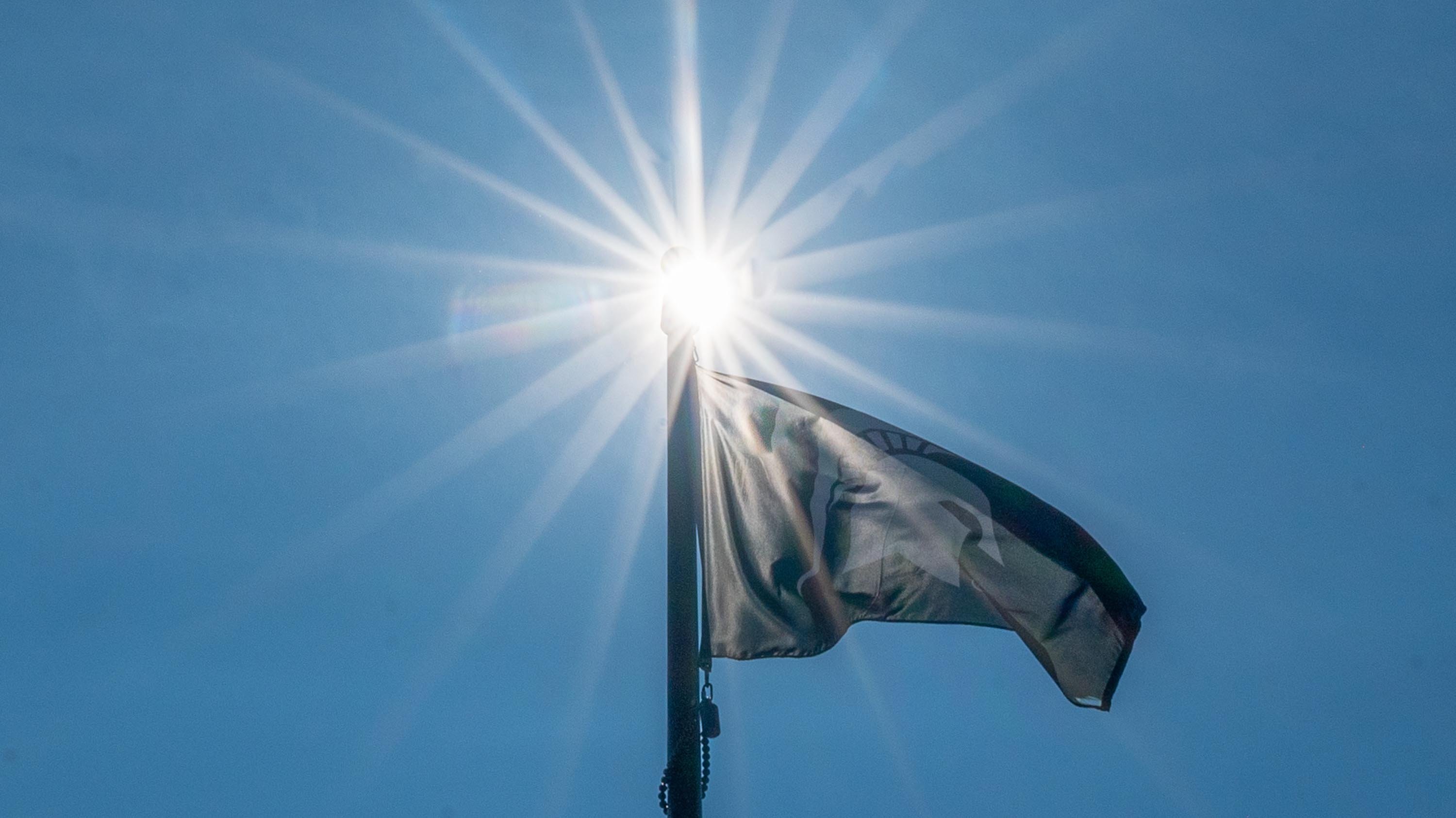 MSU flag and sunburst