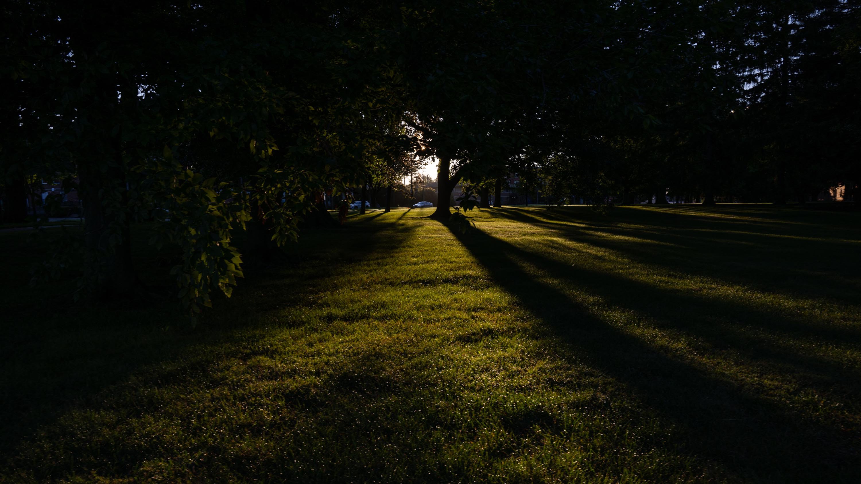 Sunrise on field near Mason hall