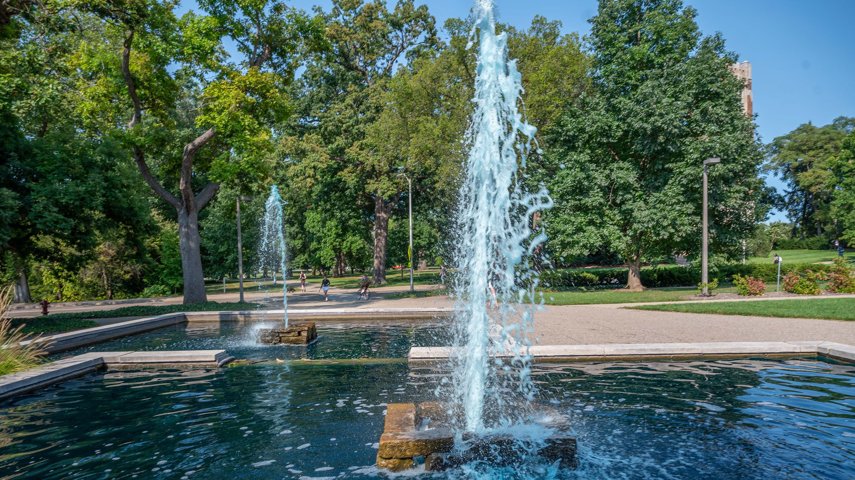 MSU Library fountain