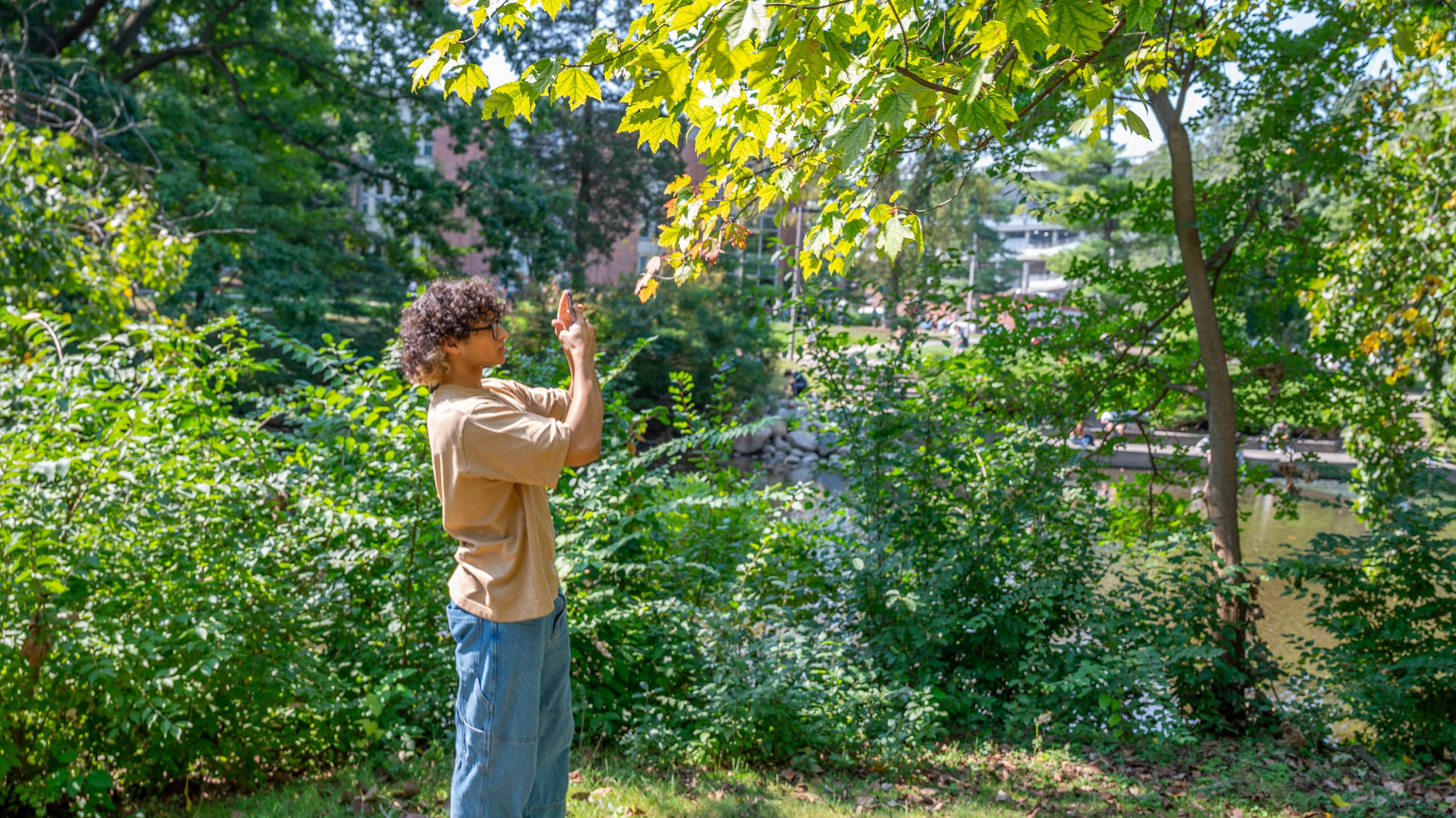 Student taking photo of a tree