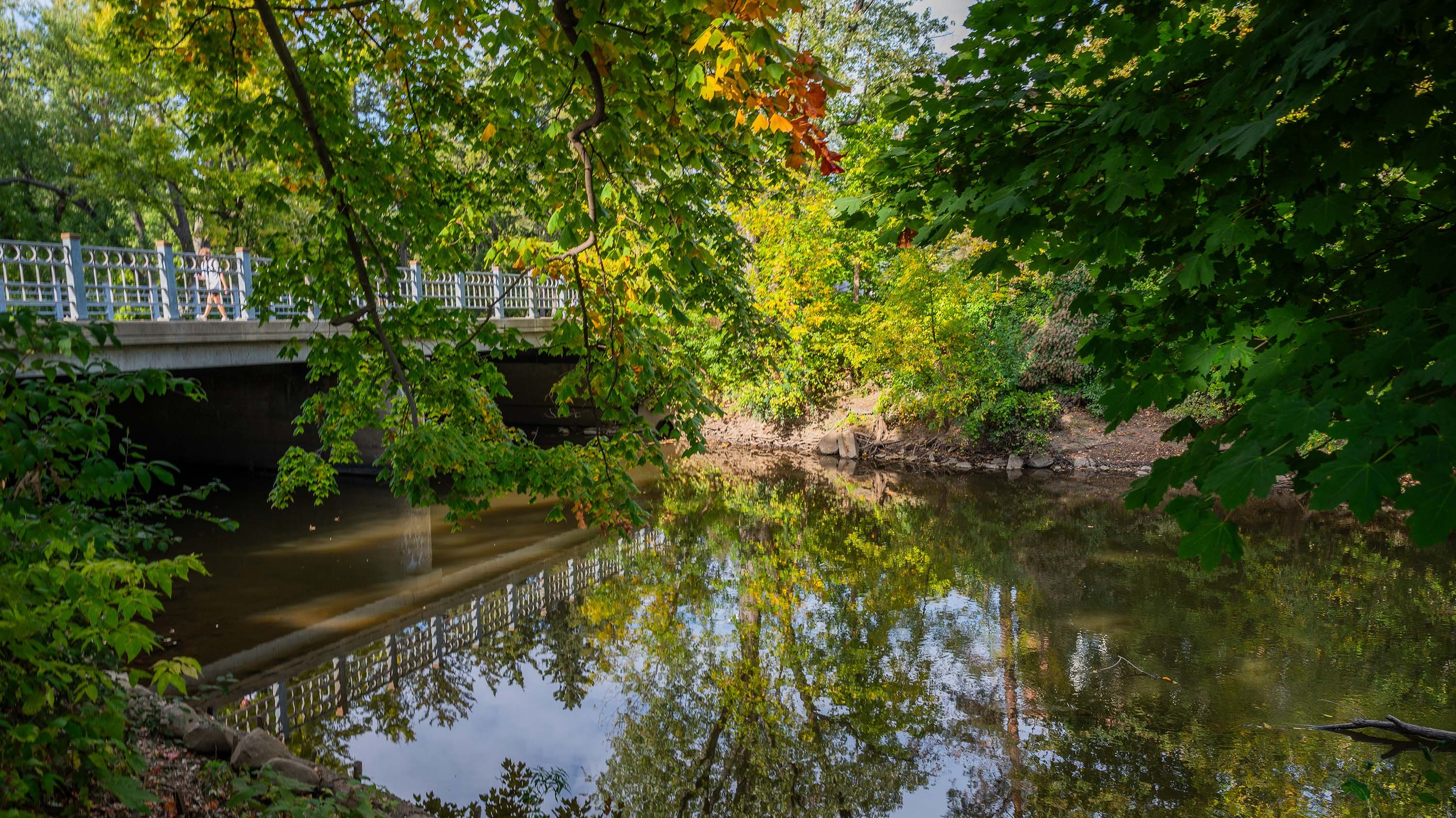 Autumn leaves over the Red Cedar River
