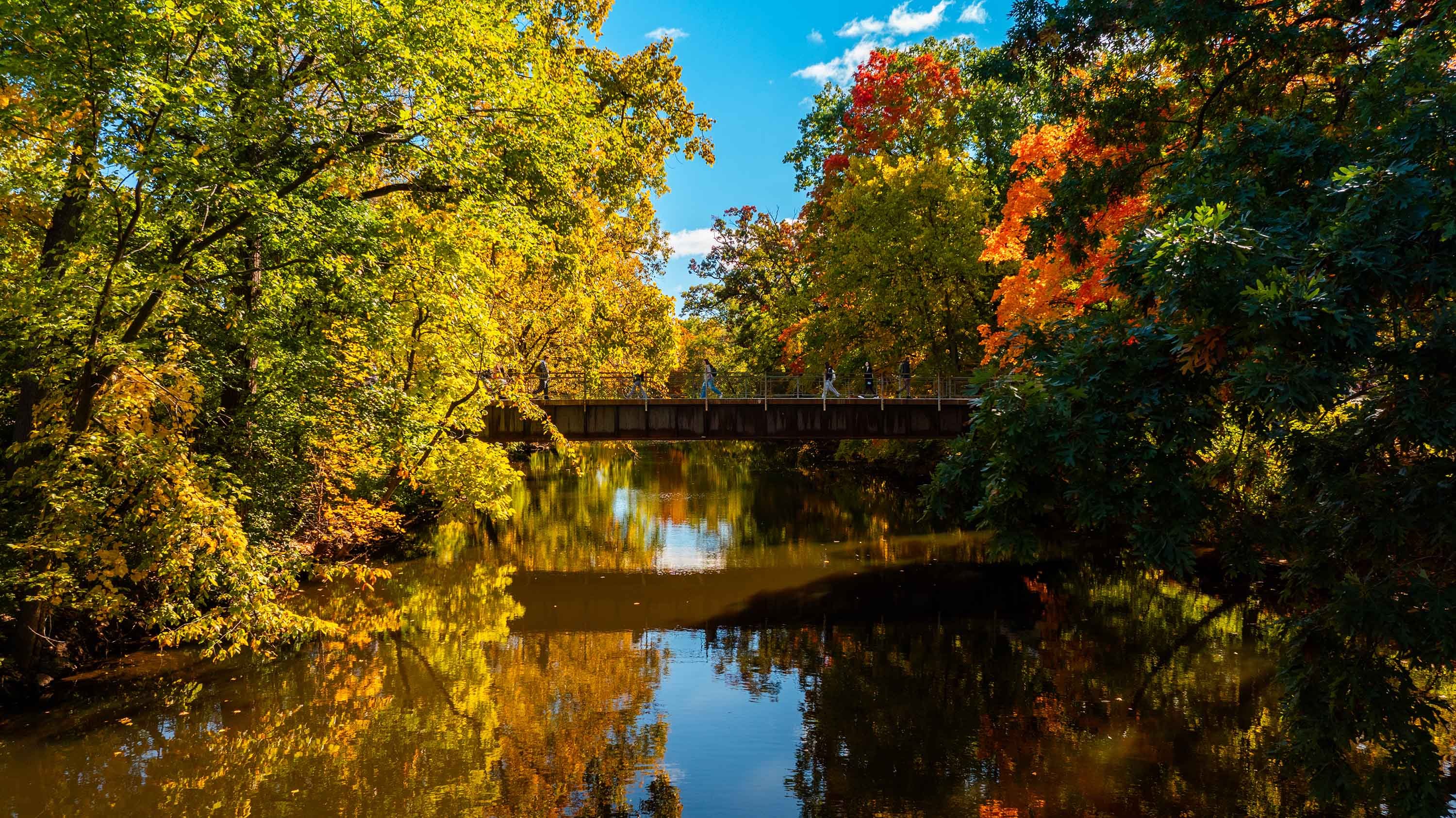 Students walking on bridge over Red Cedar River in fall