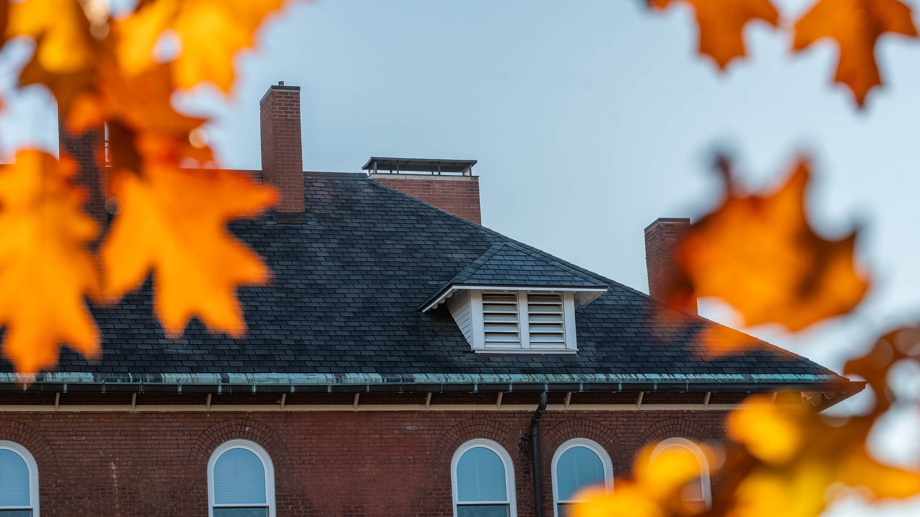 Orange leaves in front of the roof of Chittenden Hall