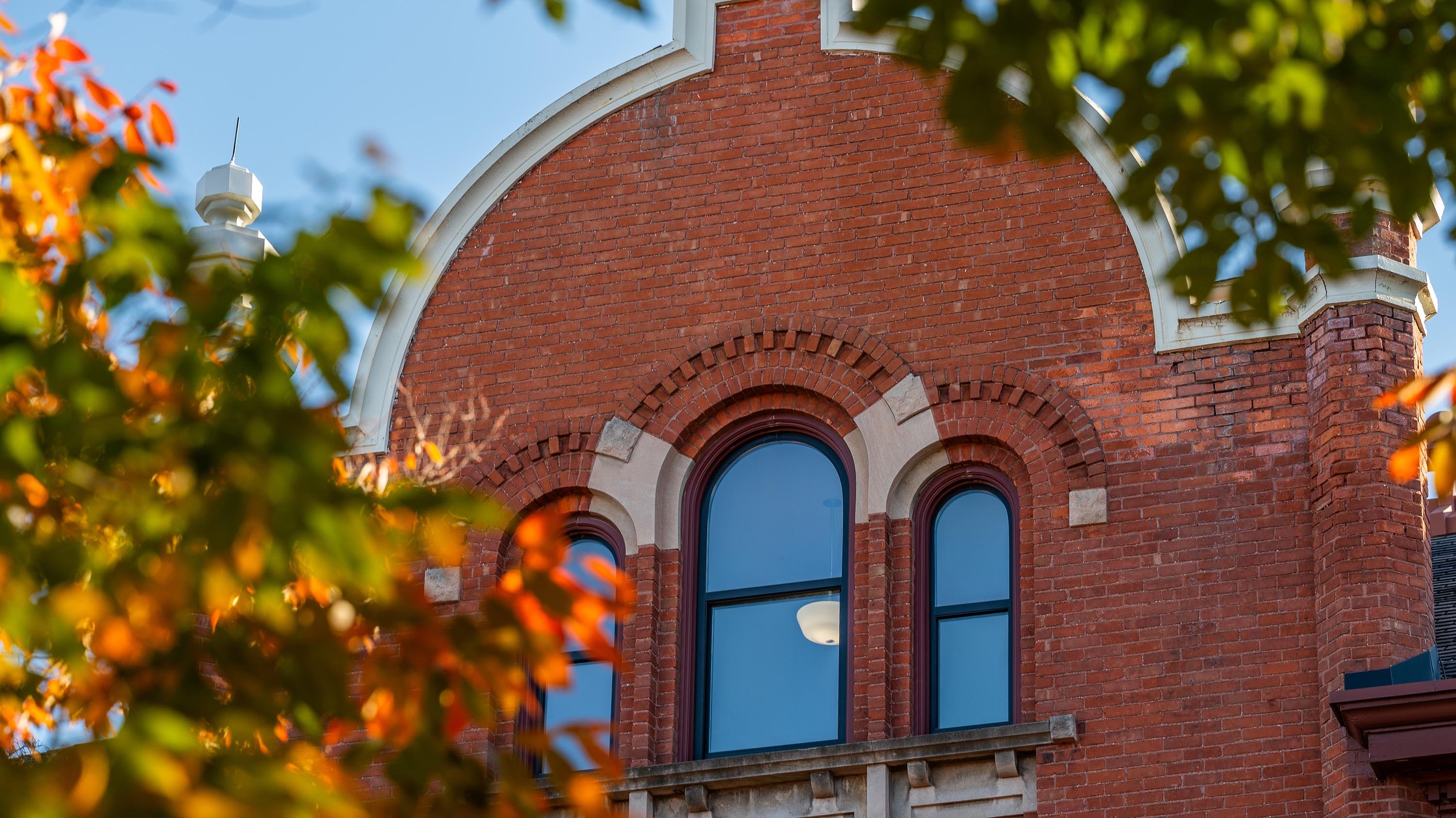 Leaves in front of Marshall Adams Hall