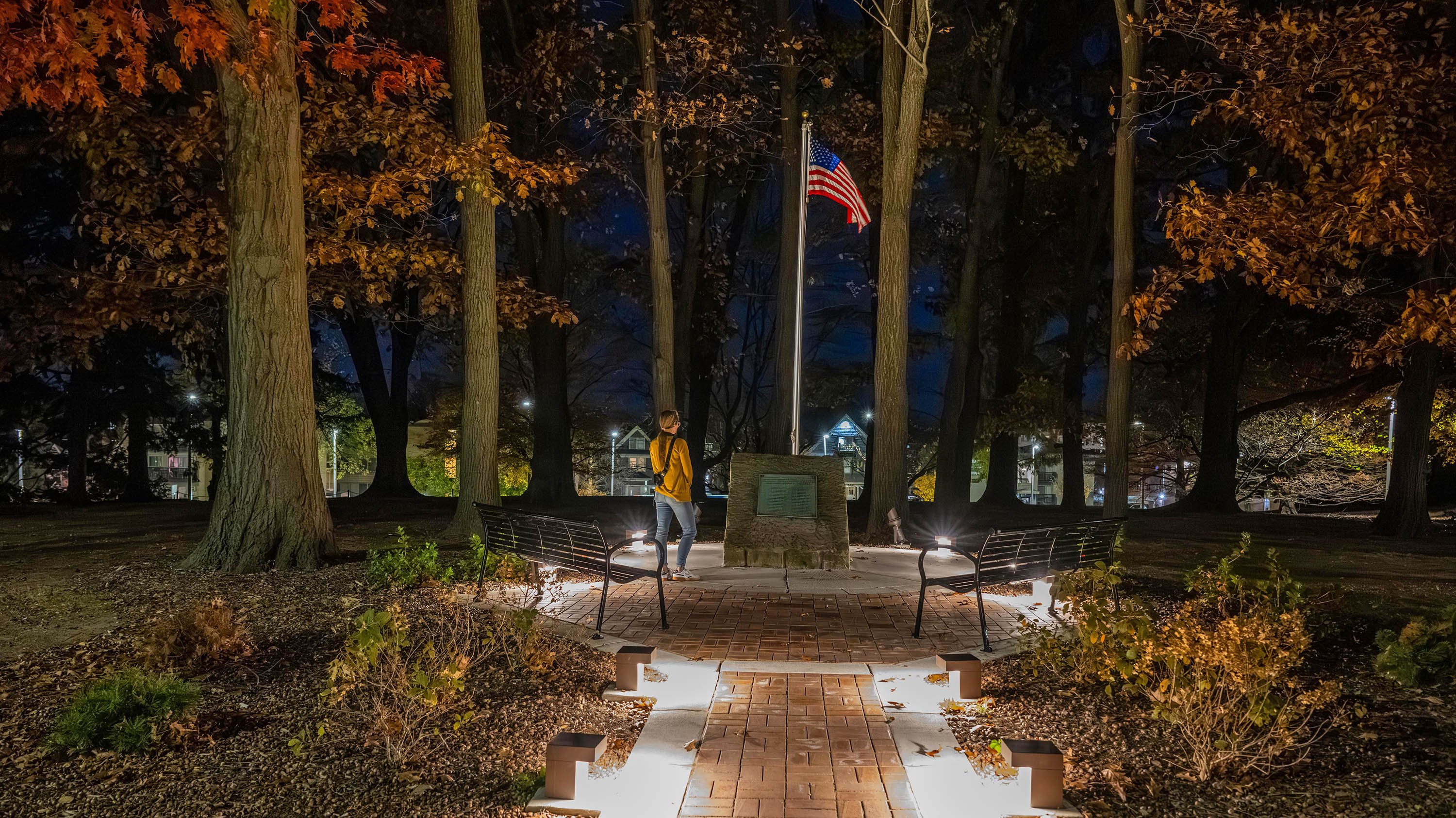 Person looking at plaque in the Memorial Grove of the Great War