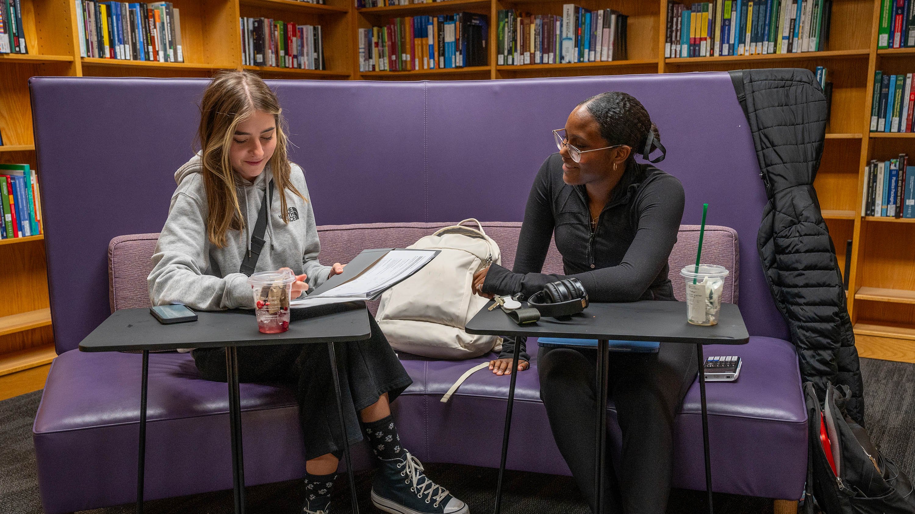 Two students studying in library