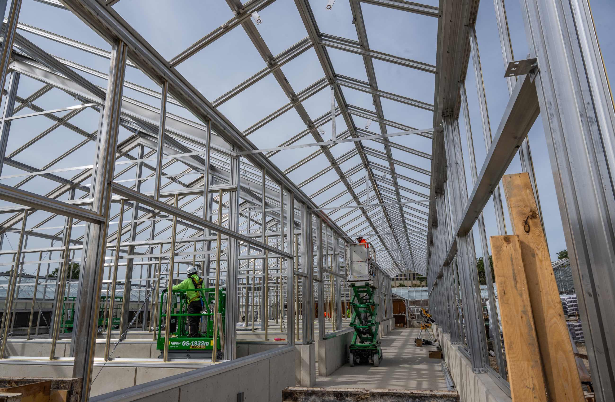 Looking up from the inside at the roof of a greenhouse under construction.