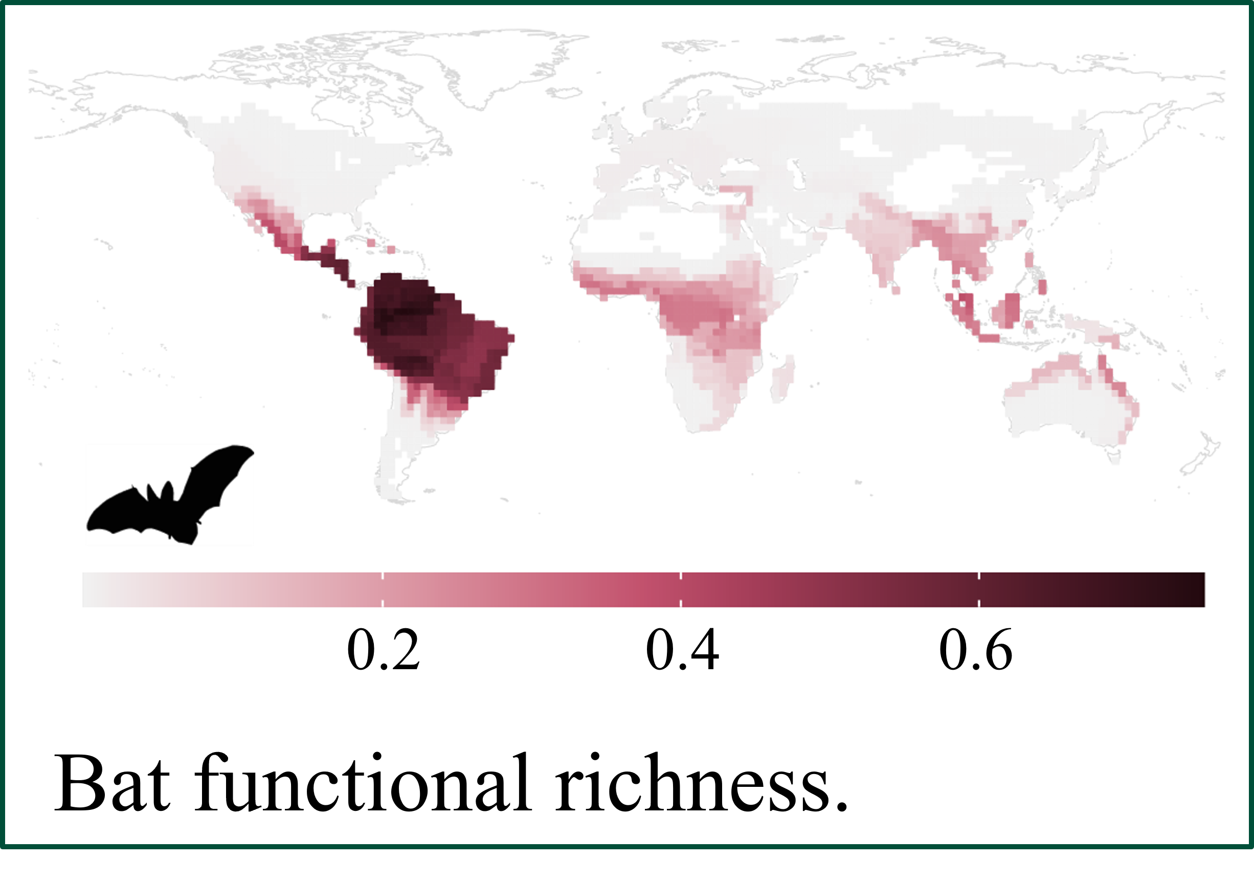 A heat map shows that, especially near the equator, bats have high functional richness in the Western Hemisphere and lower functional richness in the Eastern Hemisphere.