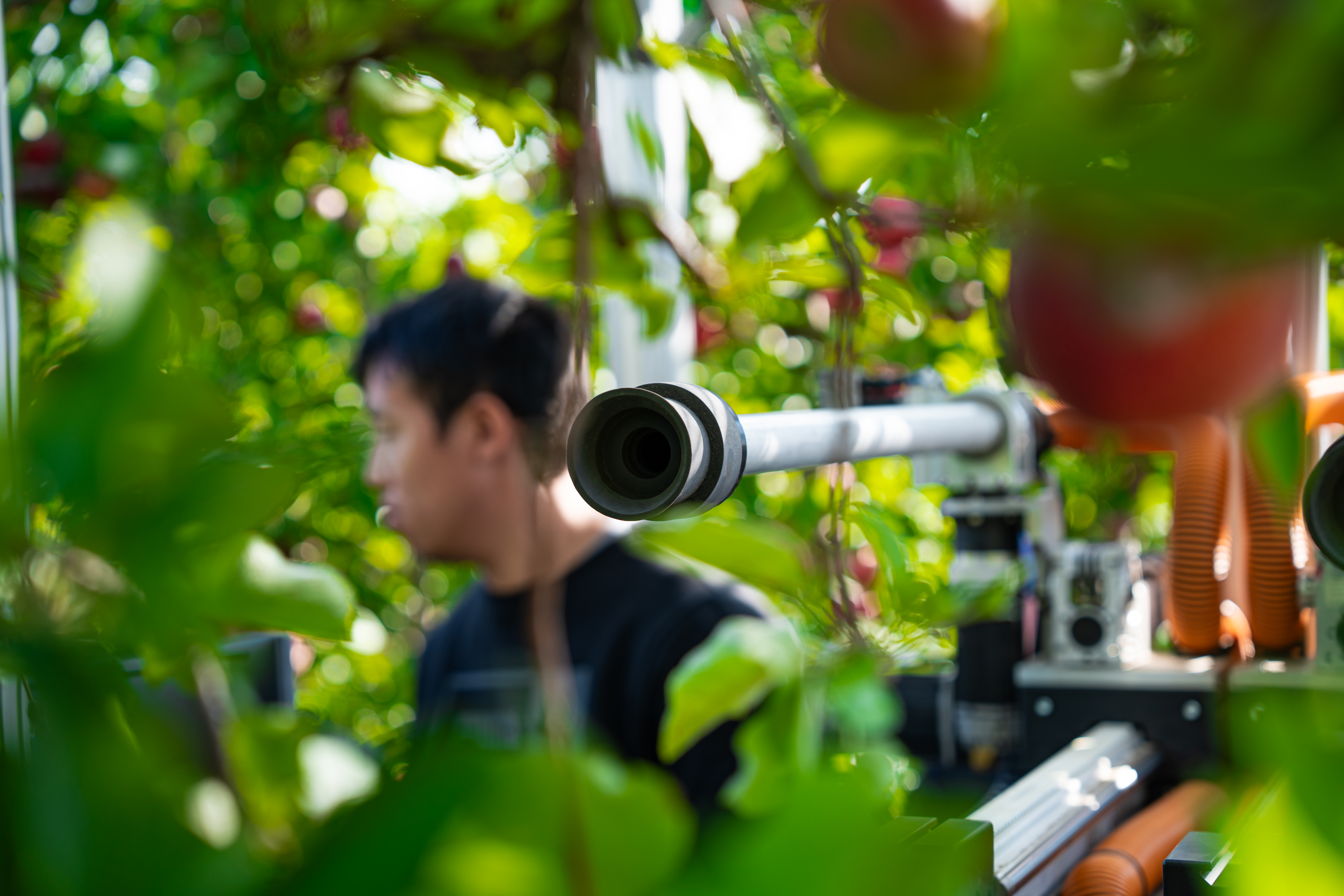 Apple of my AI: MSU’s improved robotic apple picker | MSUToday ...