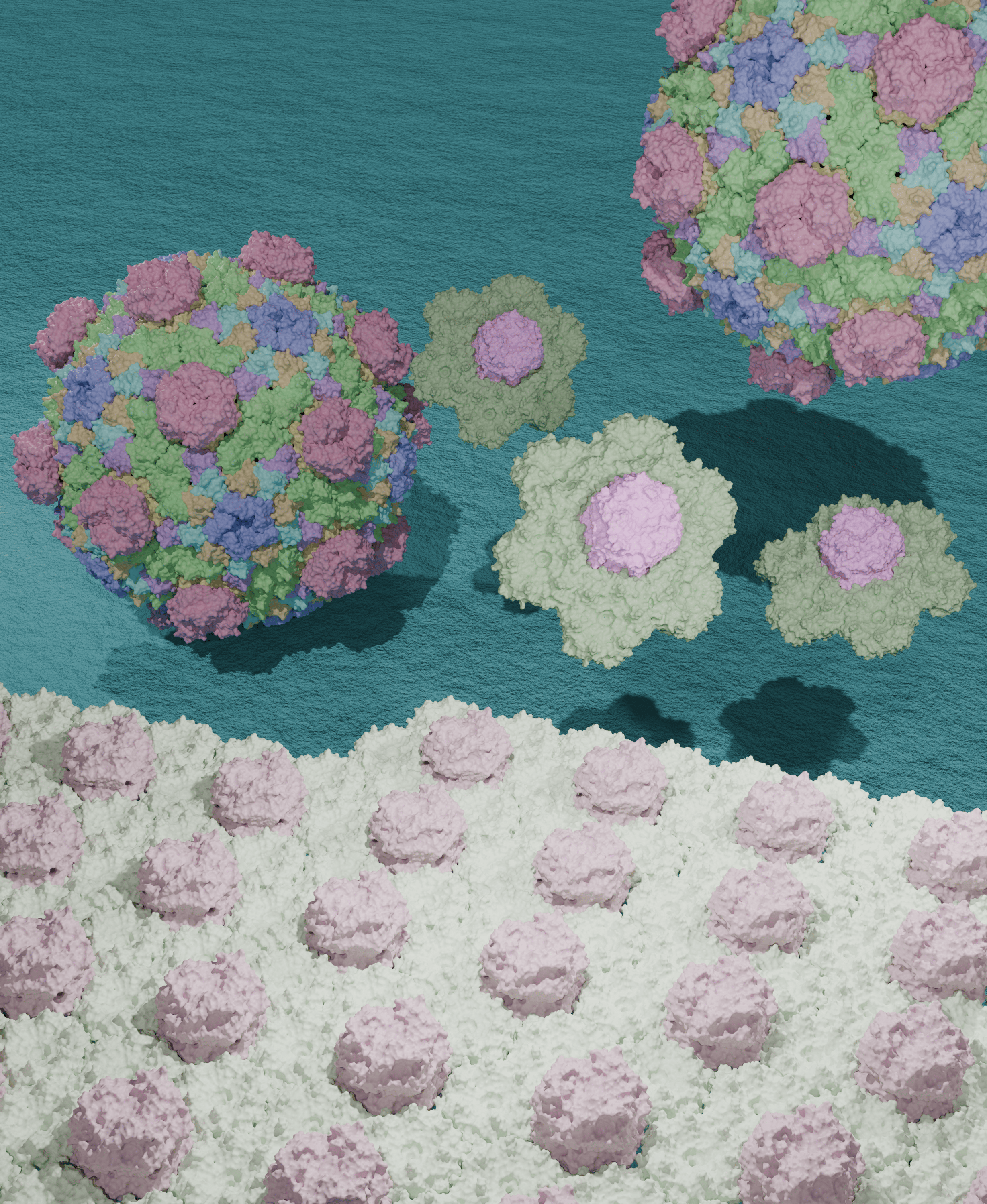 Bacterial microcompartment shell protein